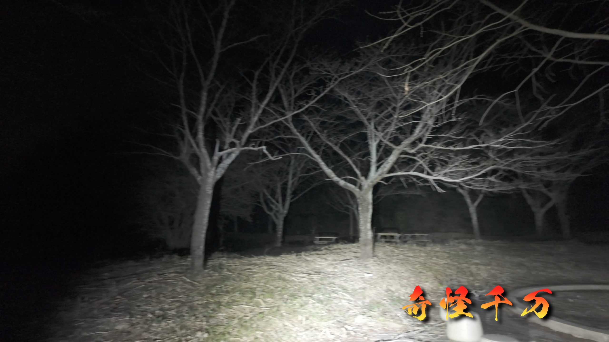 4. 現地検証 現地写真