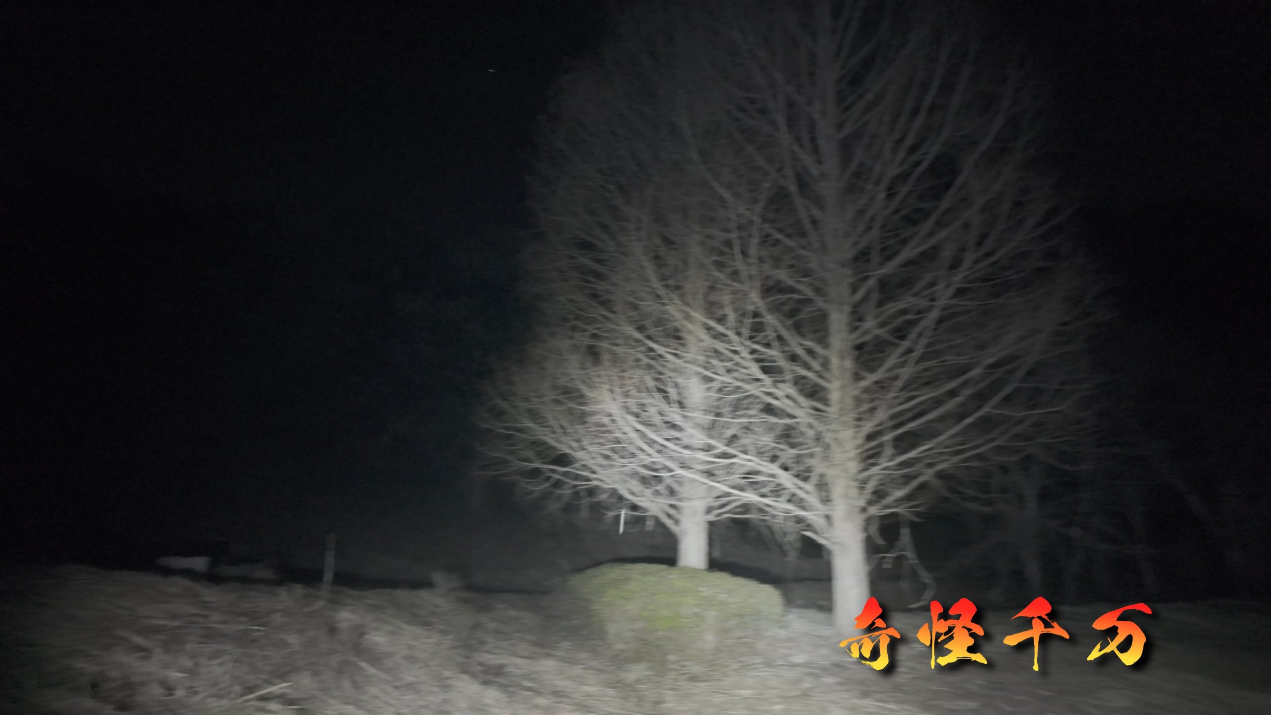 6. 噂や怪異、都市伝説の出どころ考察 現地写真
