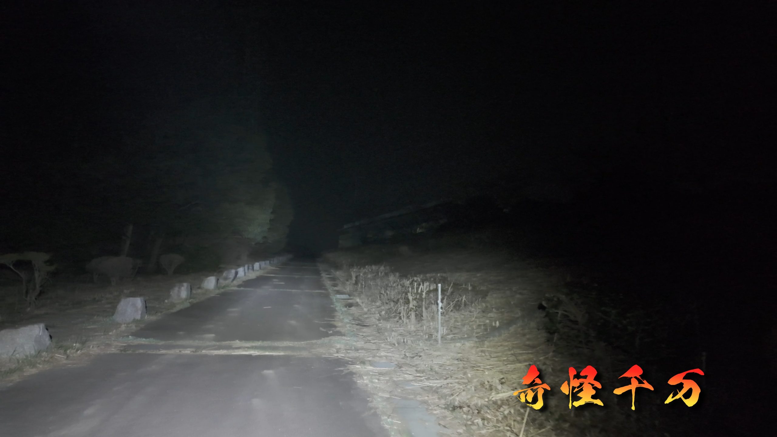 7. 総合分析 現地写真