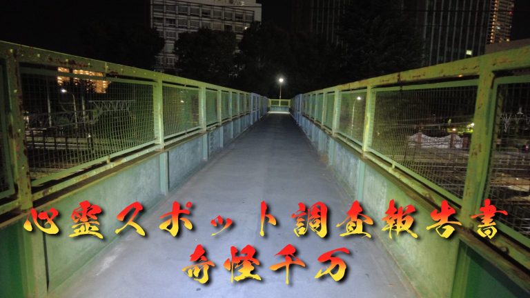 跨線橋 現地写真 368