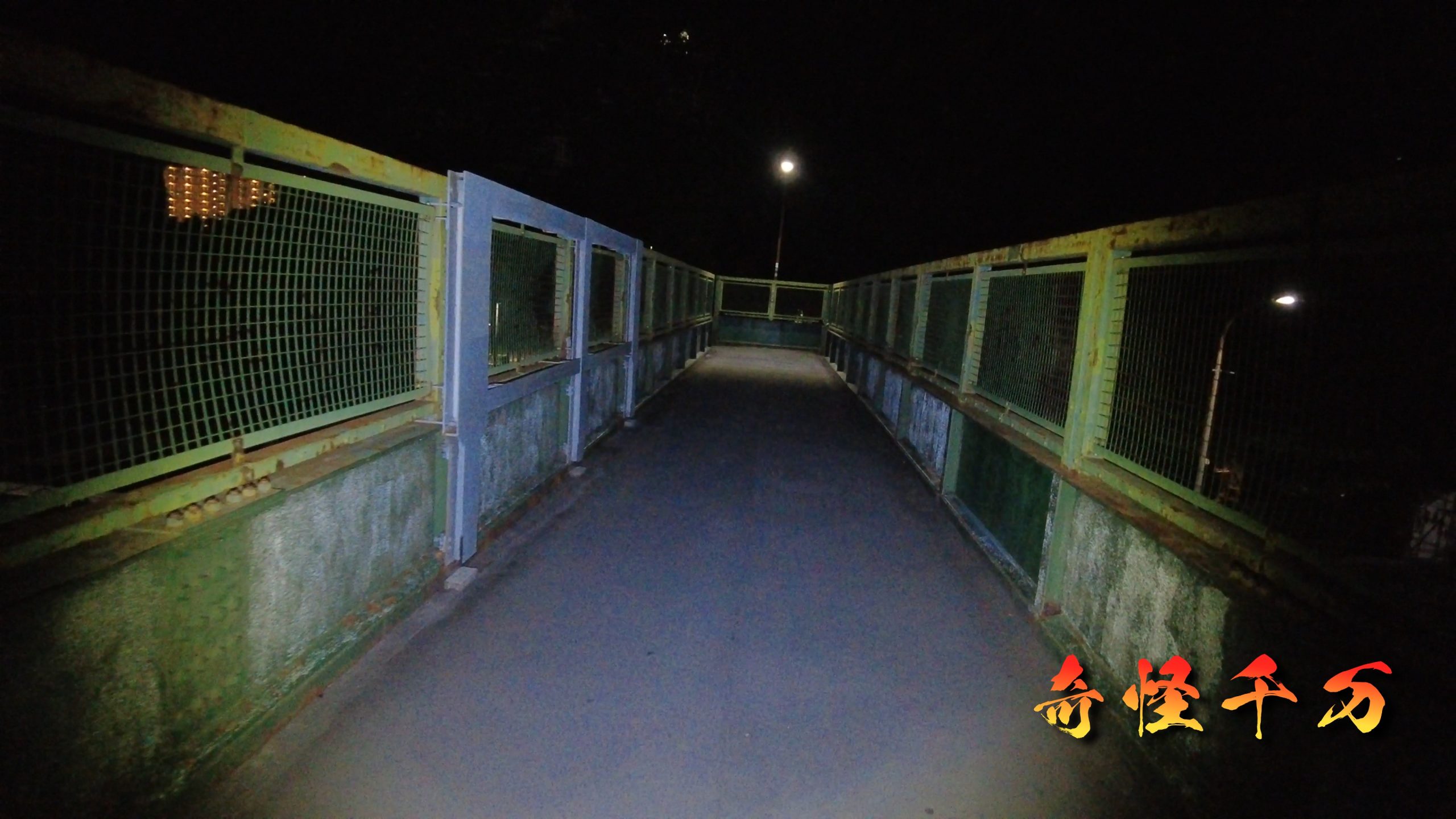 4. 現地検証 現地写真