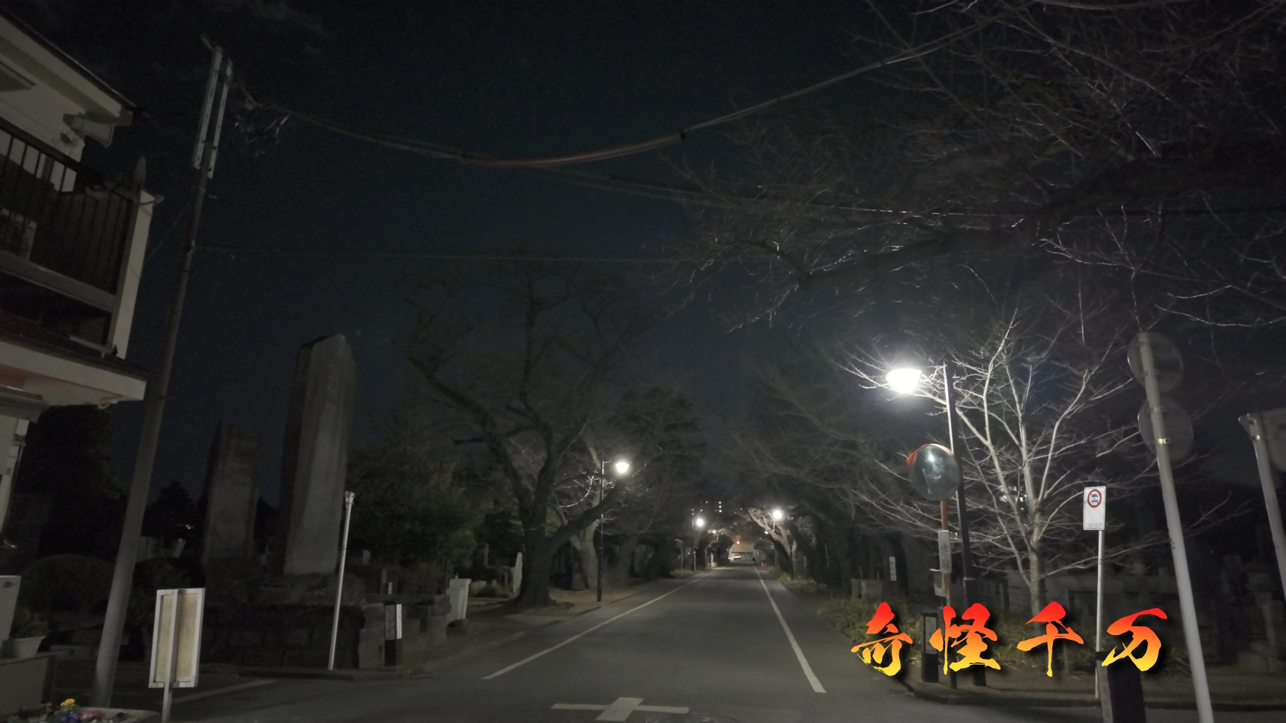 谷中霊園 現地写真 381