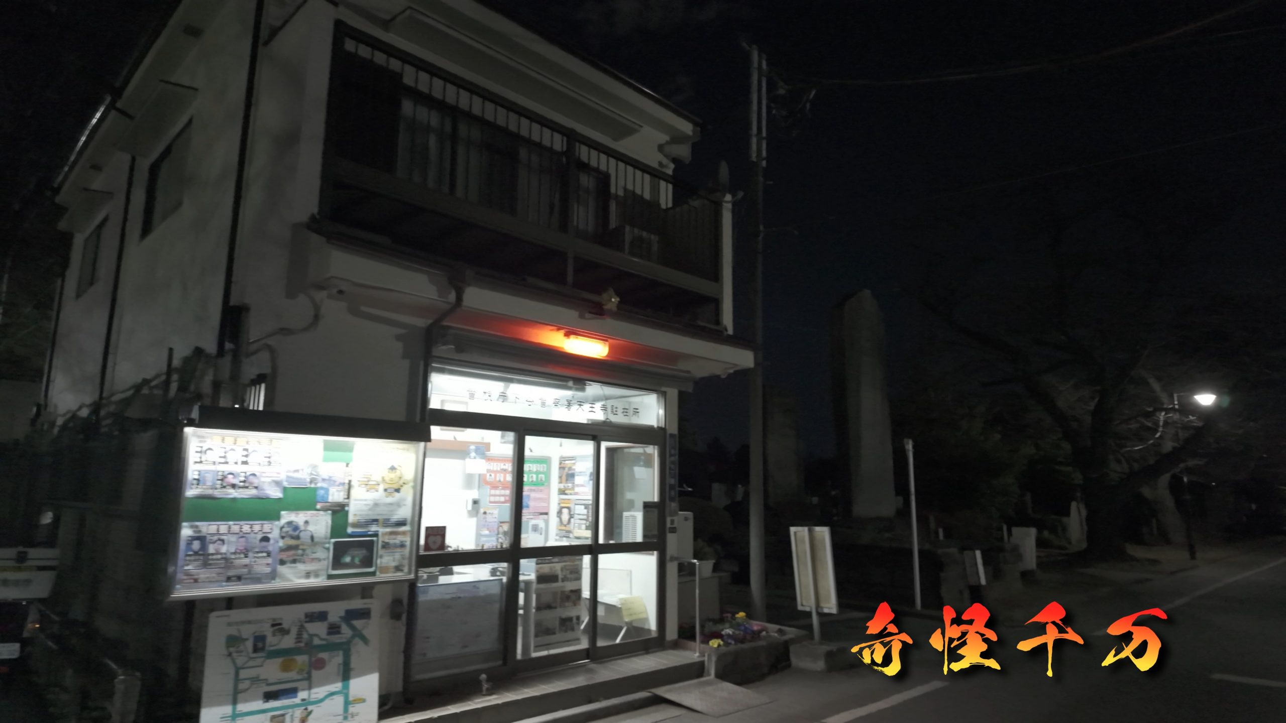谷中霊園 現地写真 382