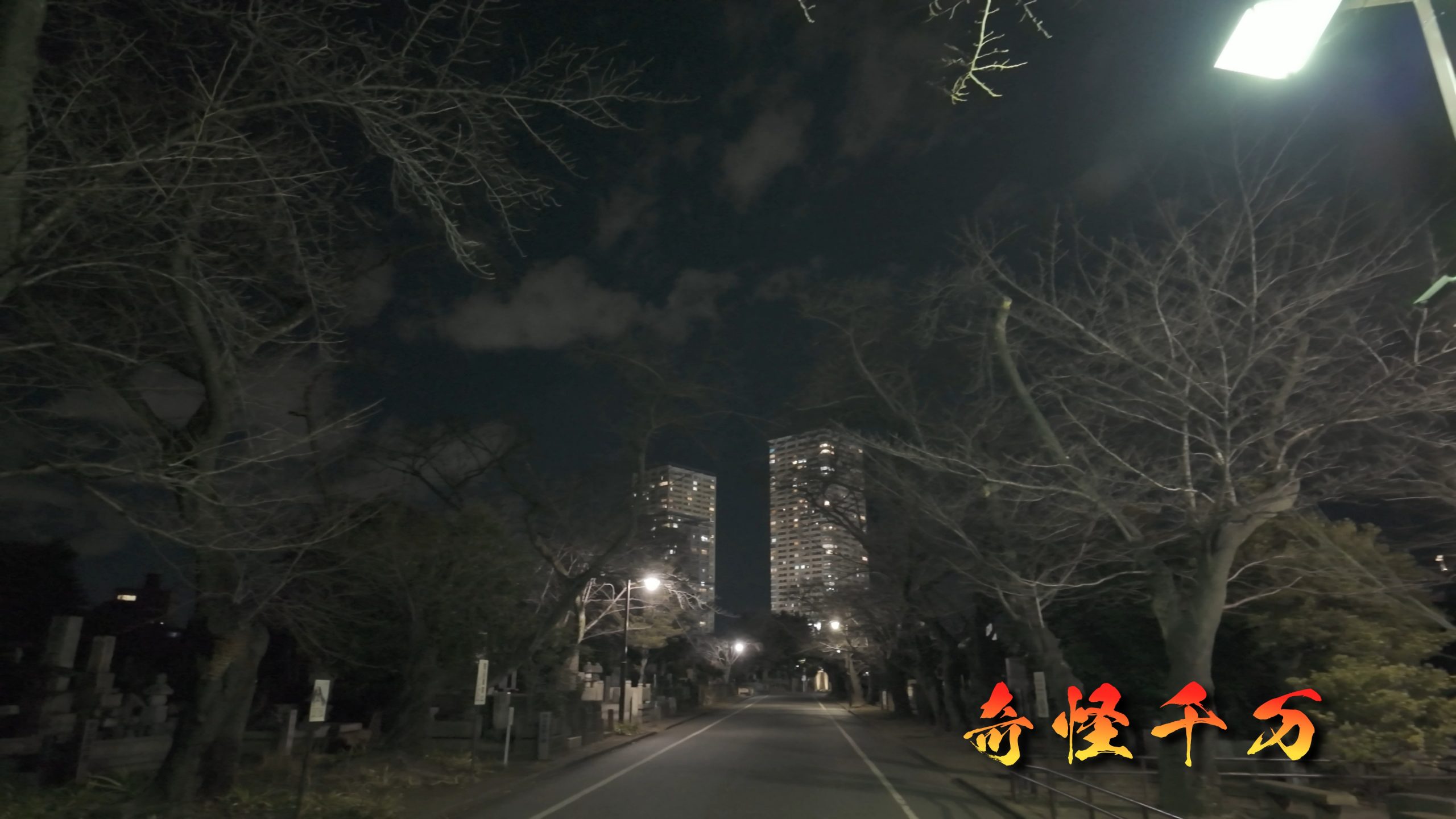 谷中霊園 現地写真 383