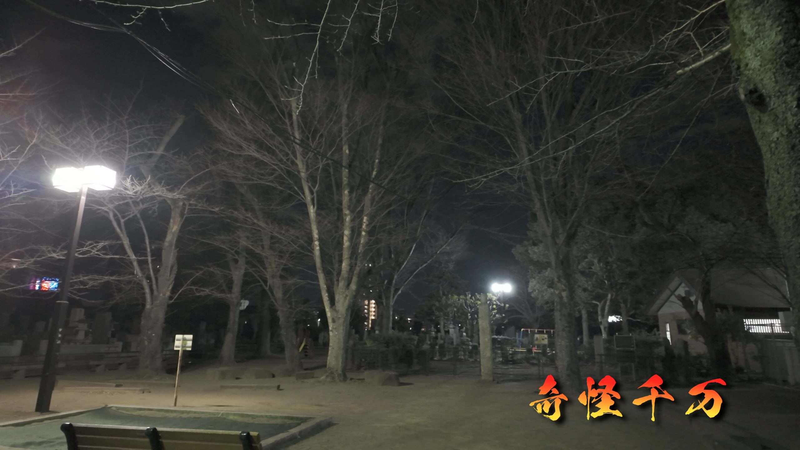 谷中霊園 現地写真 384