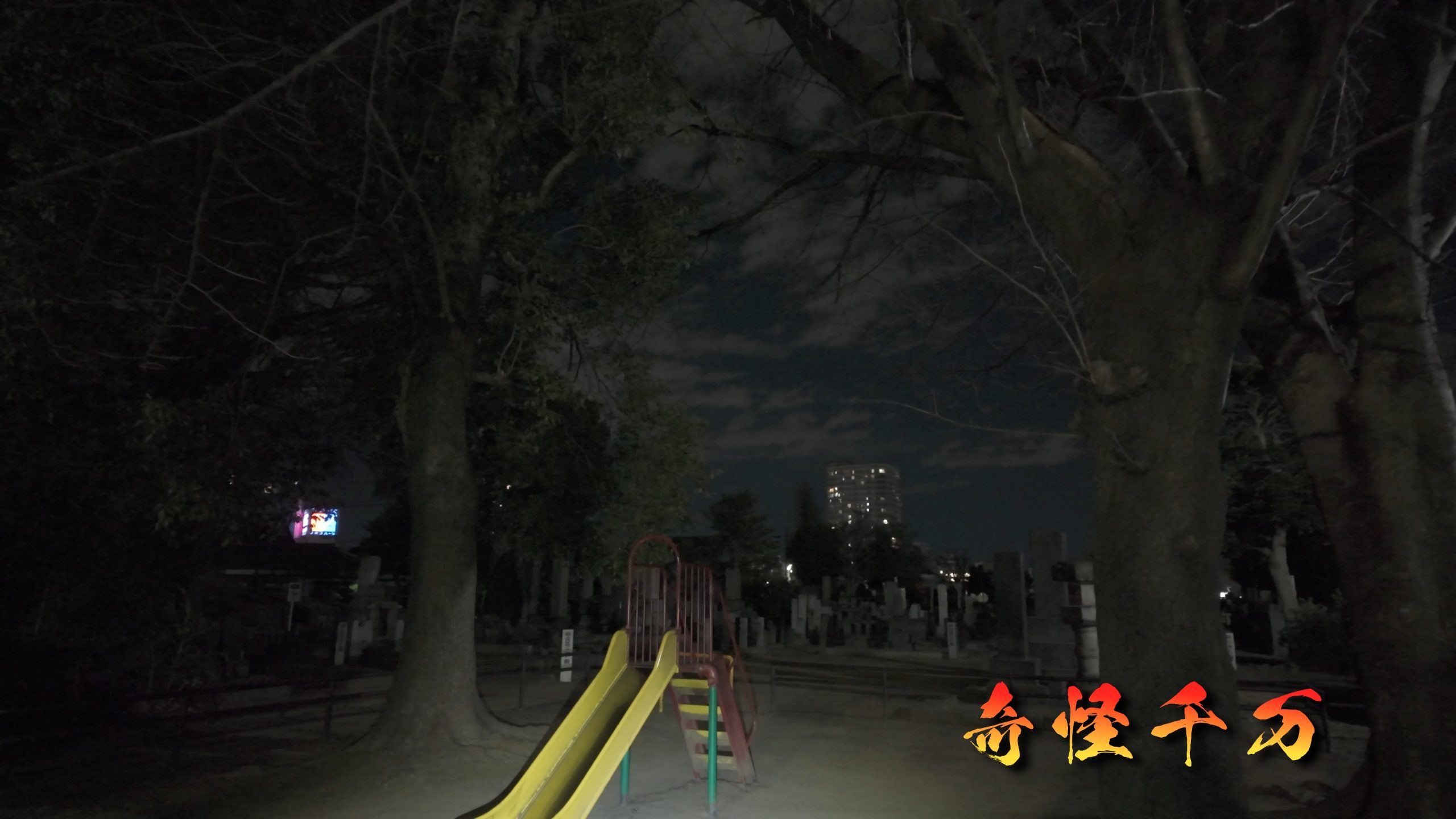 谷中霊園 現地写真 385