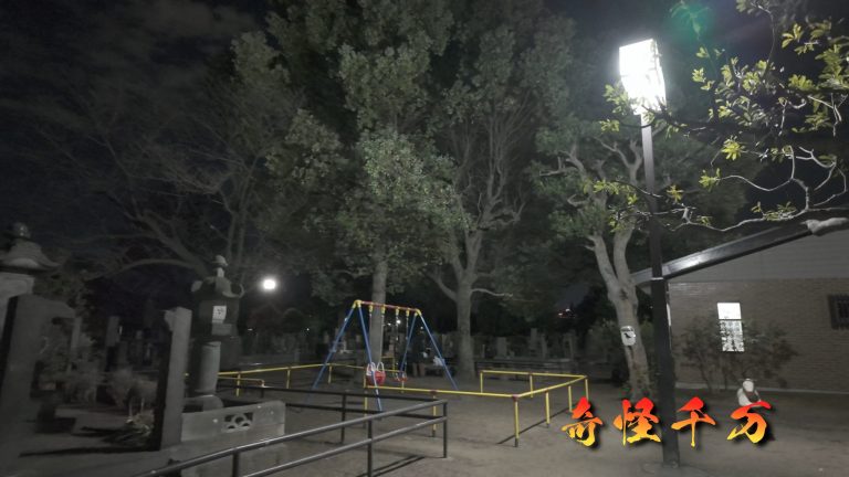 谷中霊園 現地写真 386
