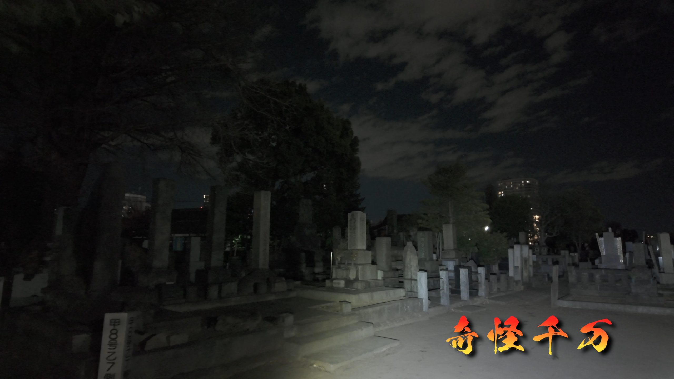谷中霊園 現地写真 388