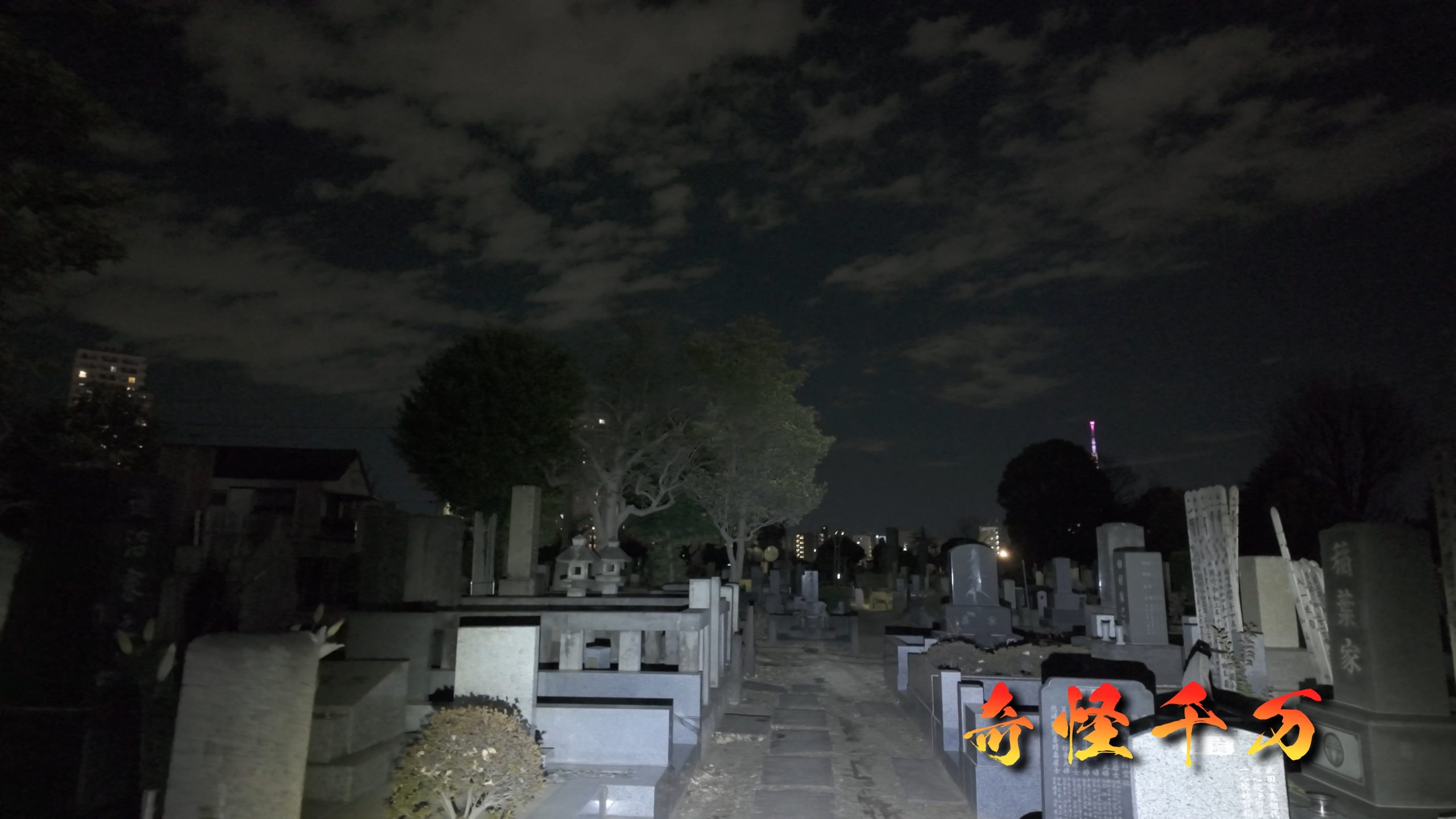 谷中霊園 現地写真 389