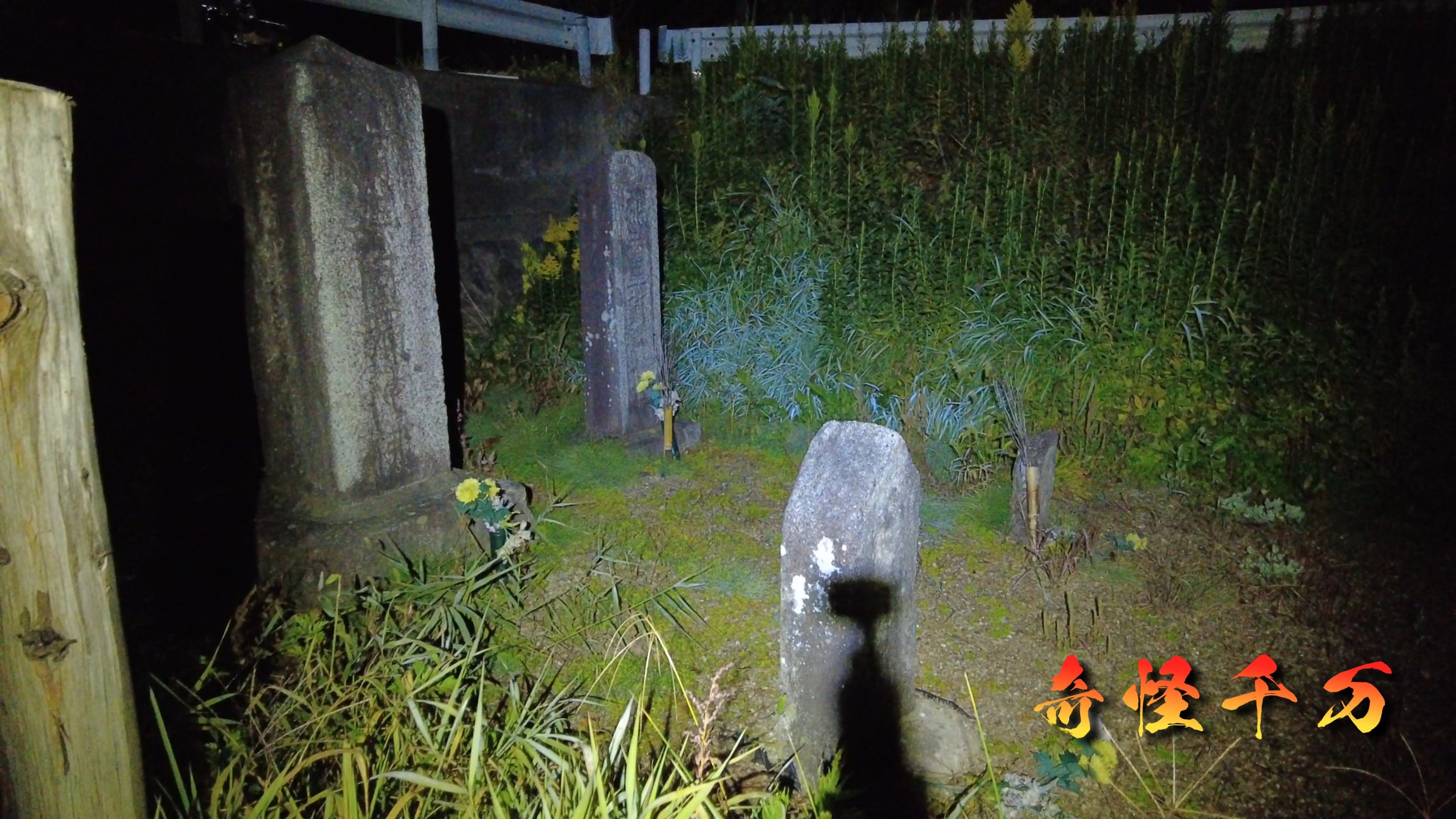 SnapShot(390).jpg