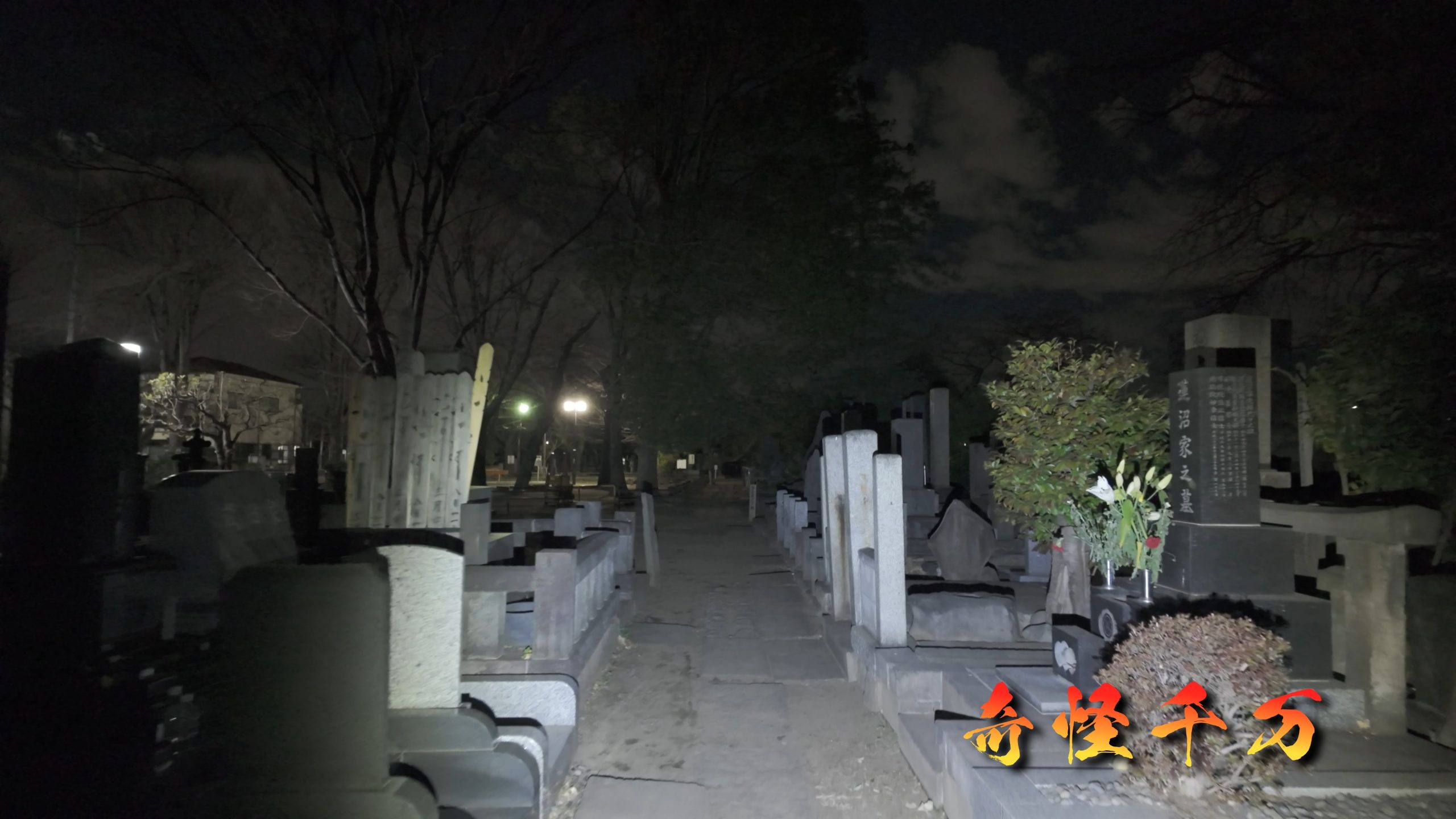 谷中霊園 現地写真 390