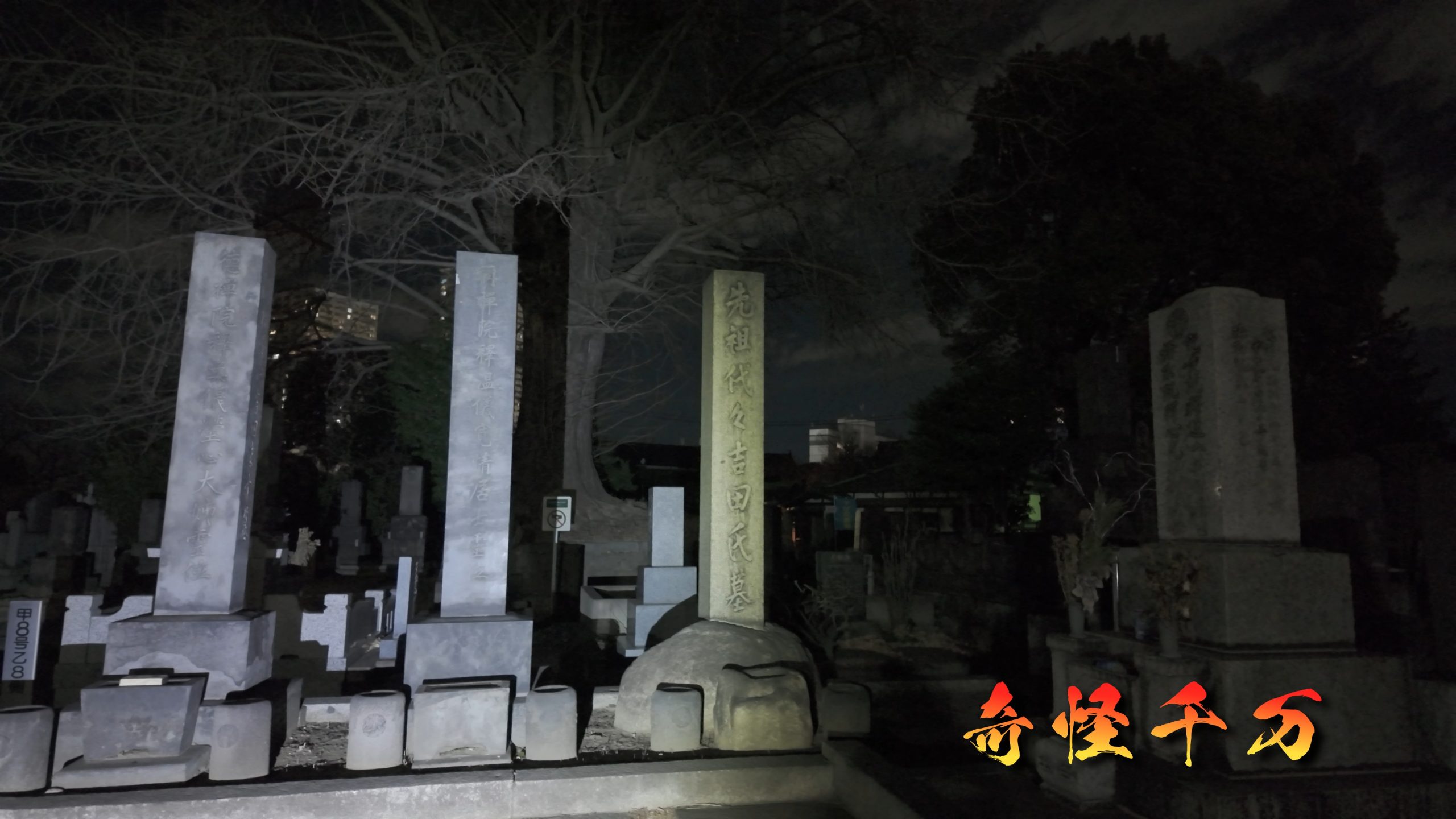 谷中霊園 現地写真 391