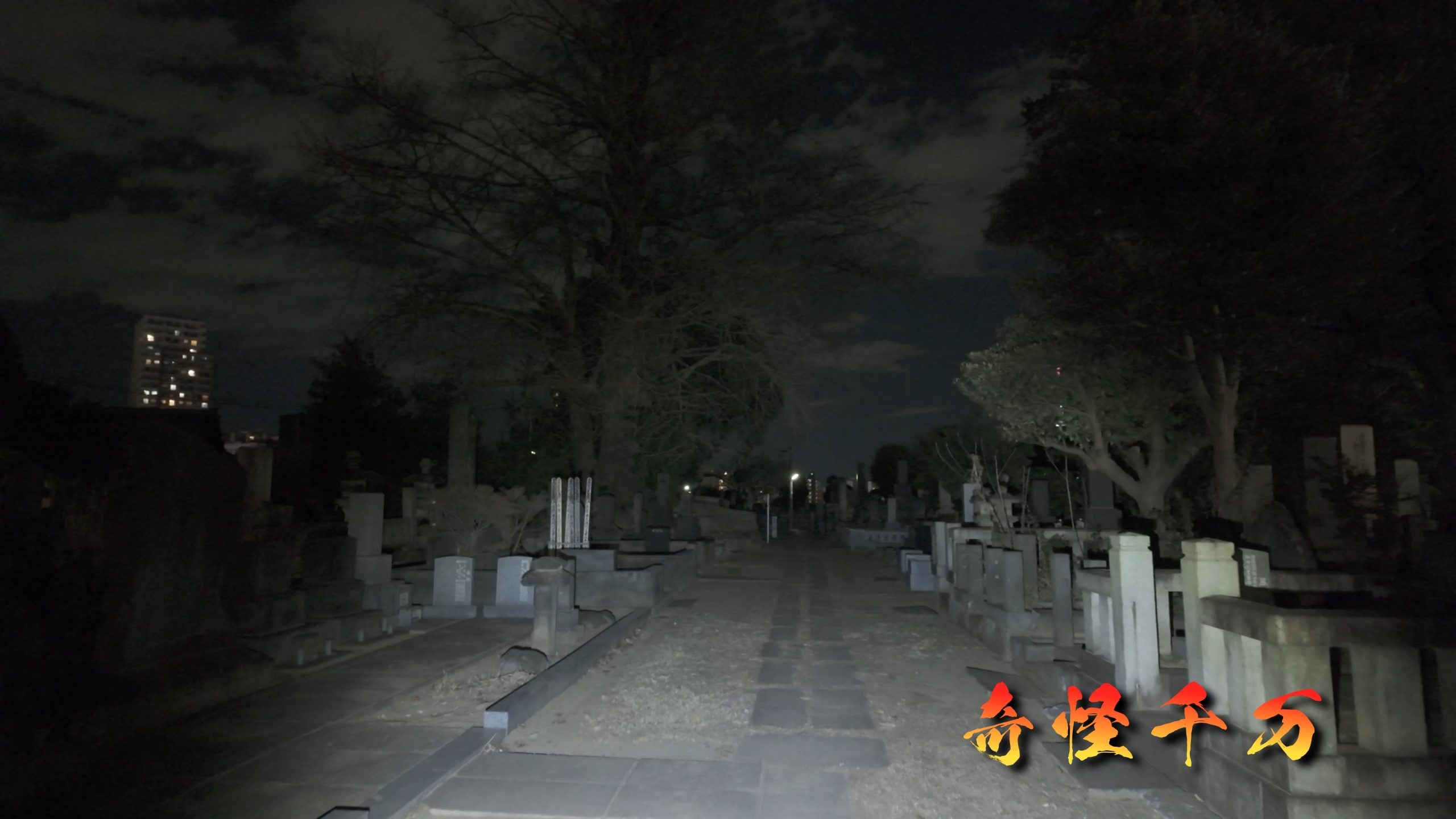 谷中霊園 現地写真 392