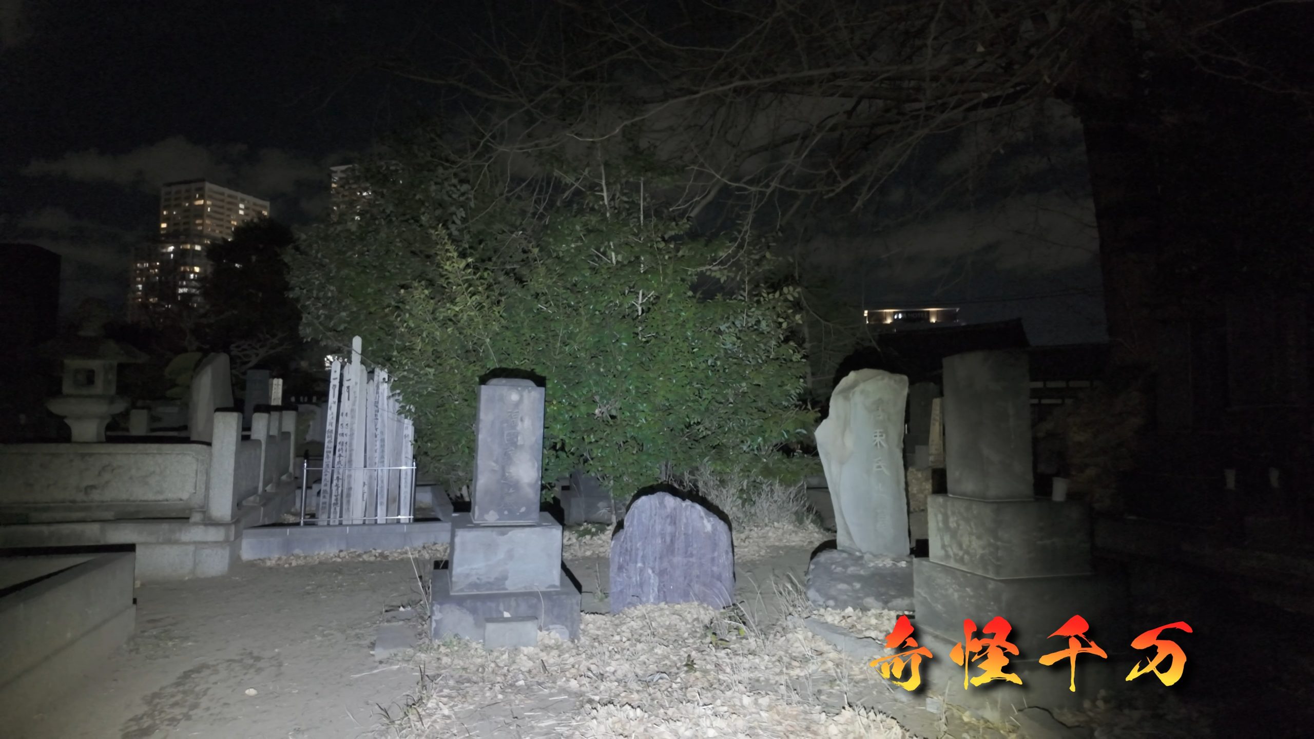谷中霊園 現地写真 393