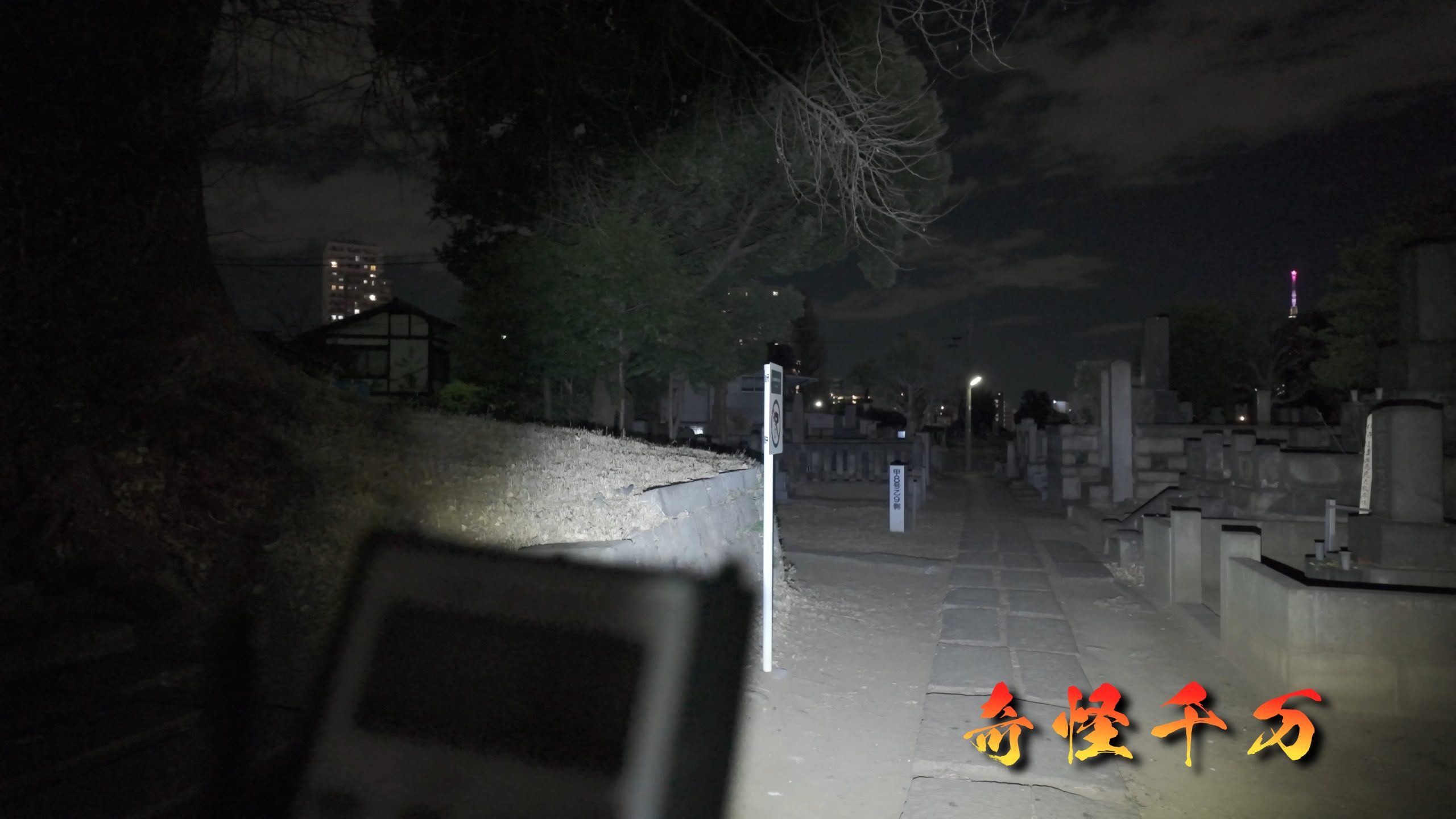 谷中霊園 現地写真 394