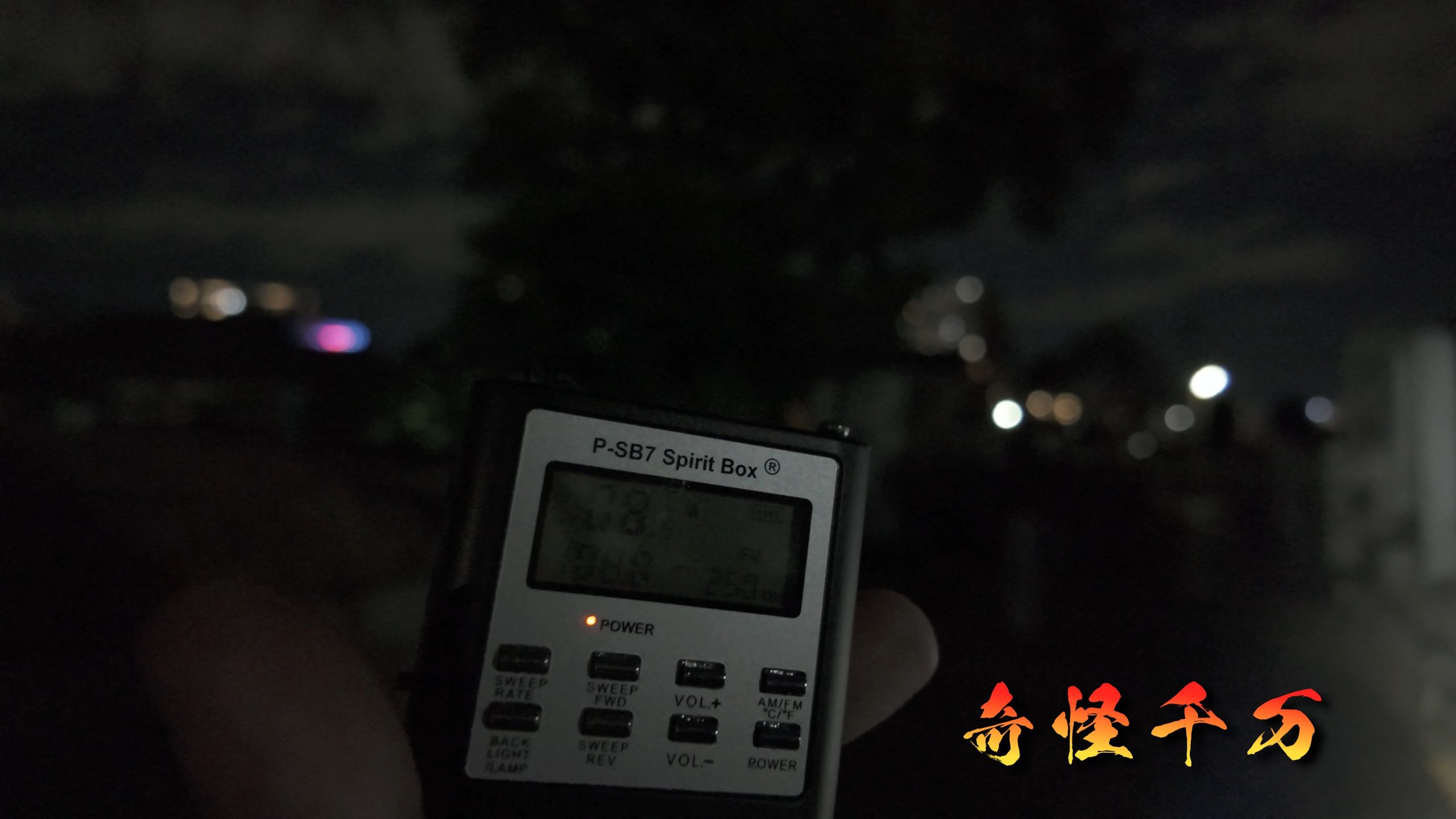 谷中霊園 現地写真 395