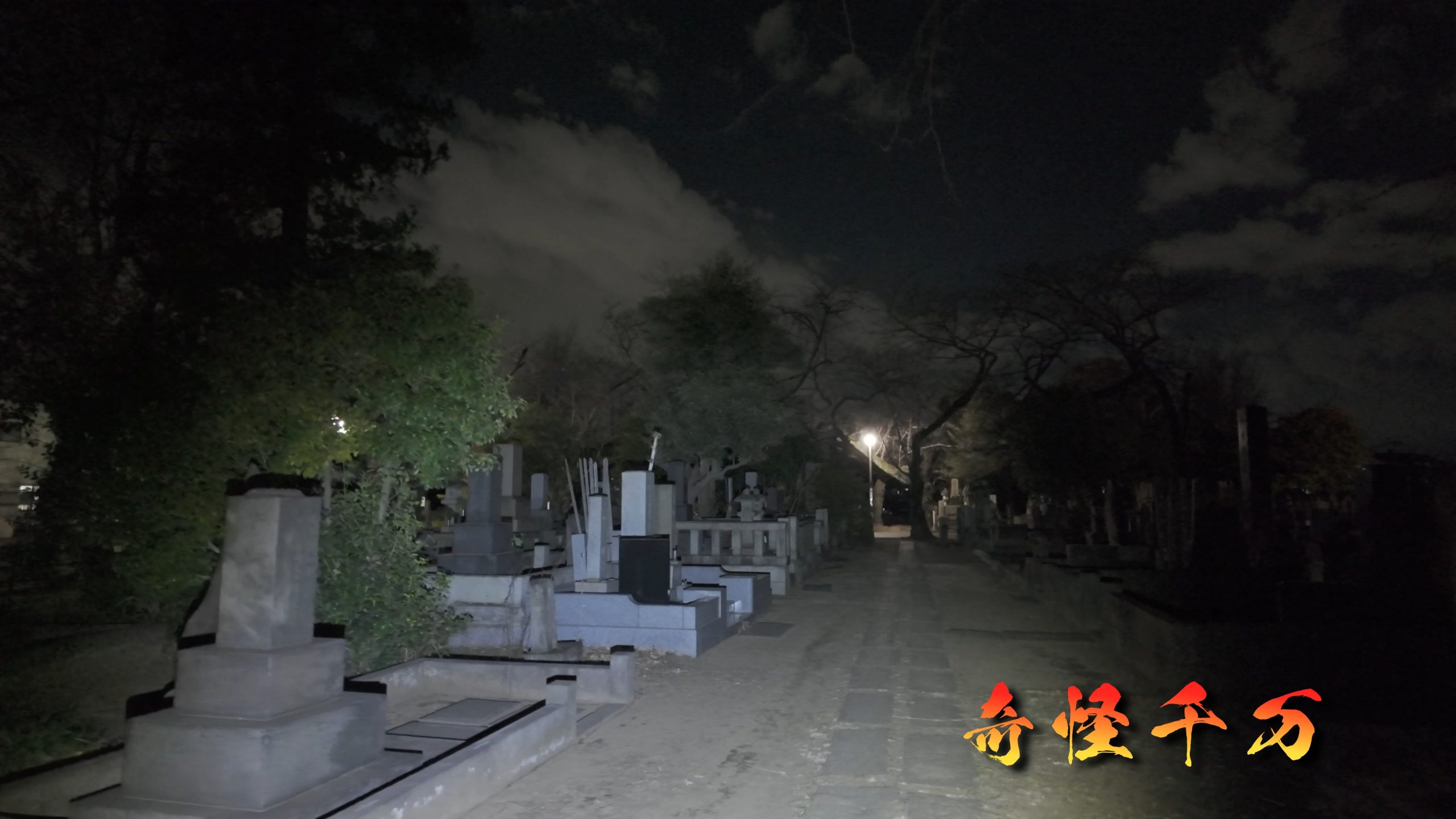 谷中霊園 現地写真 397
