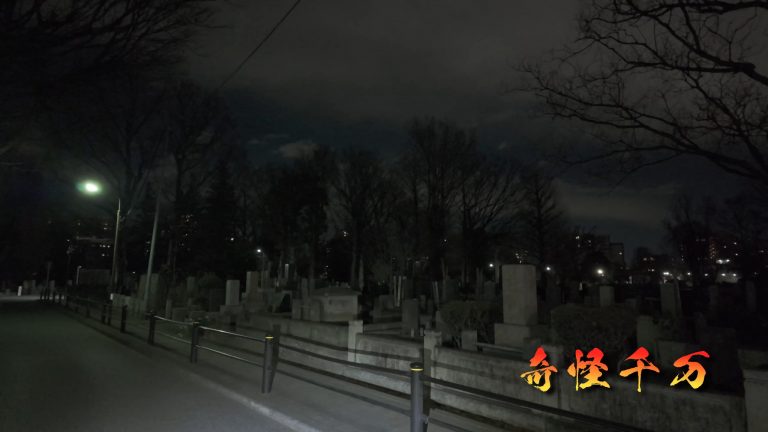 雑司が谷霊園 現地写真 411