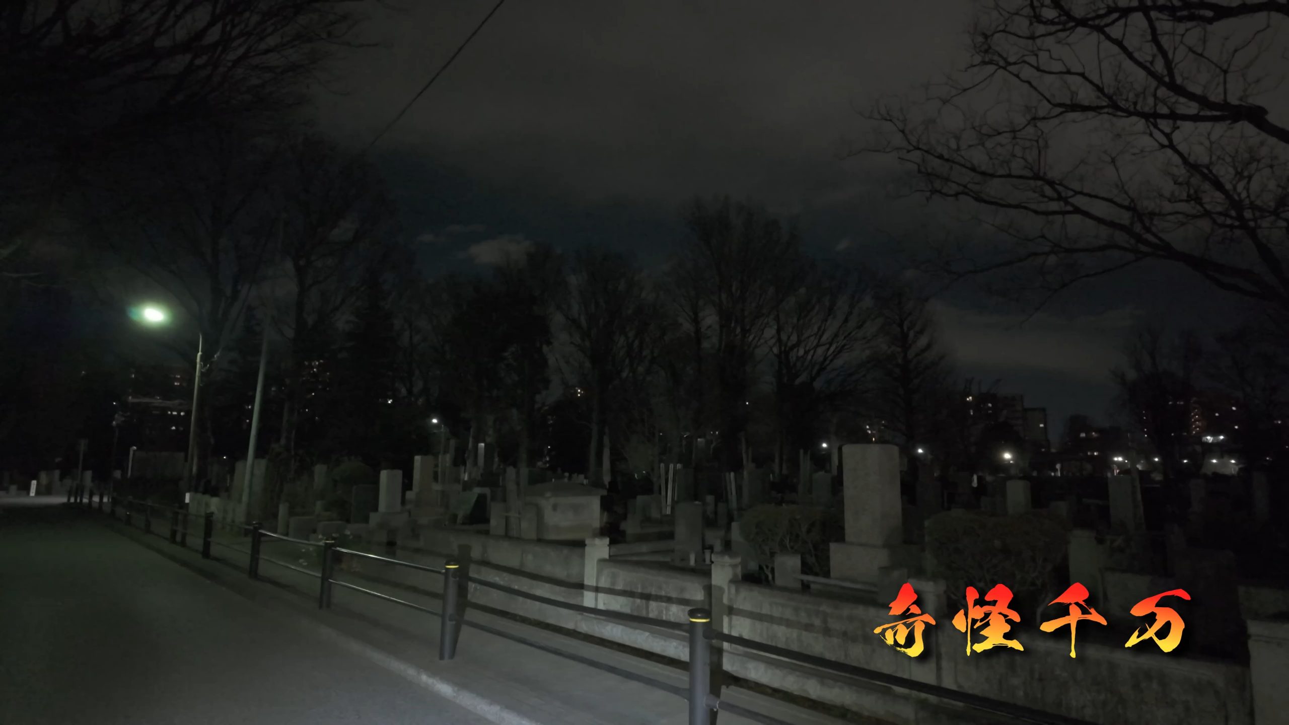 雑司が谷霊園 アイキャッチ