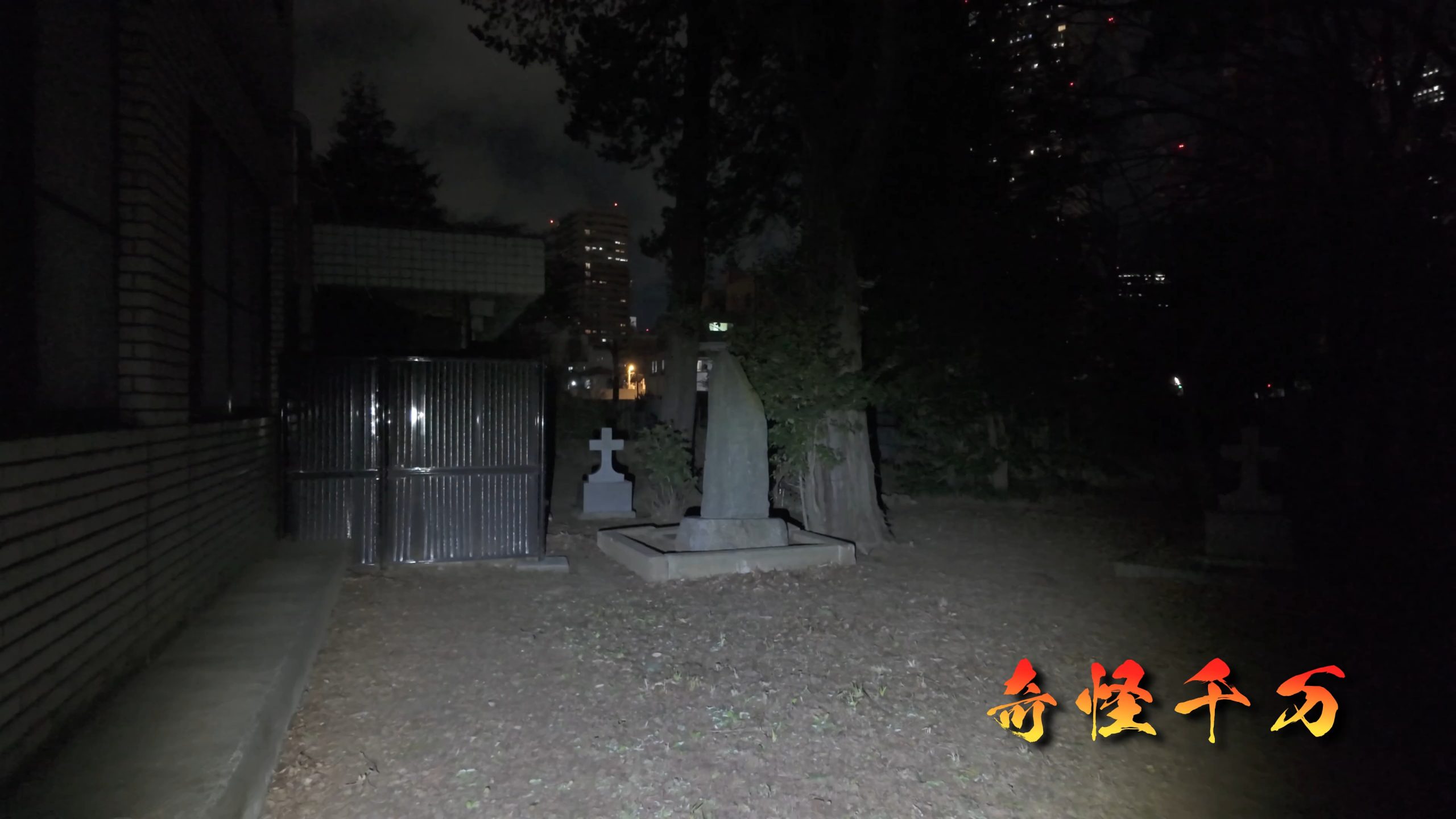 雑司が谷霊園 現地写真 413