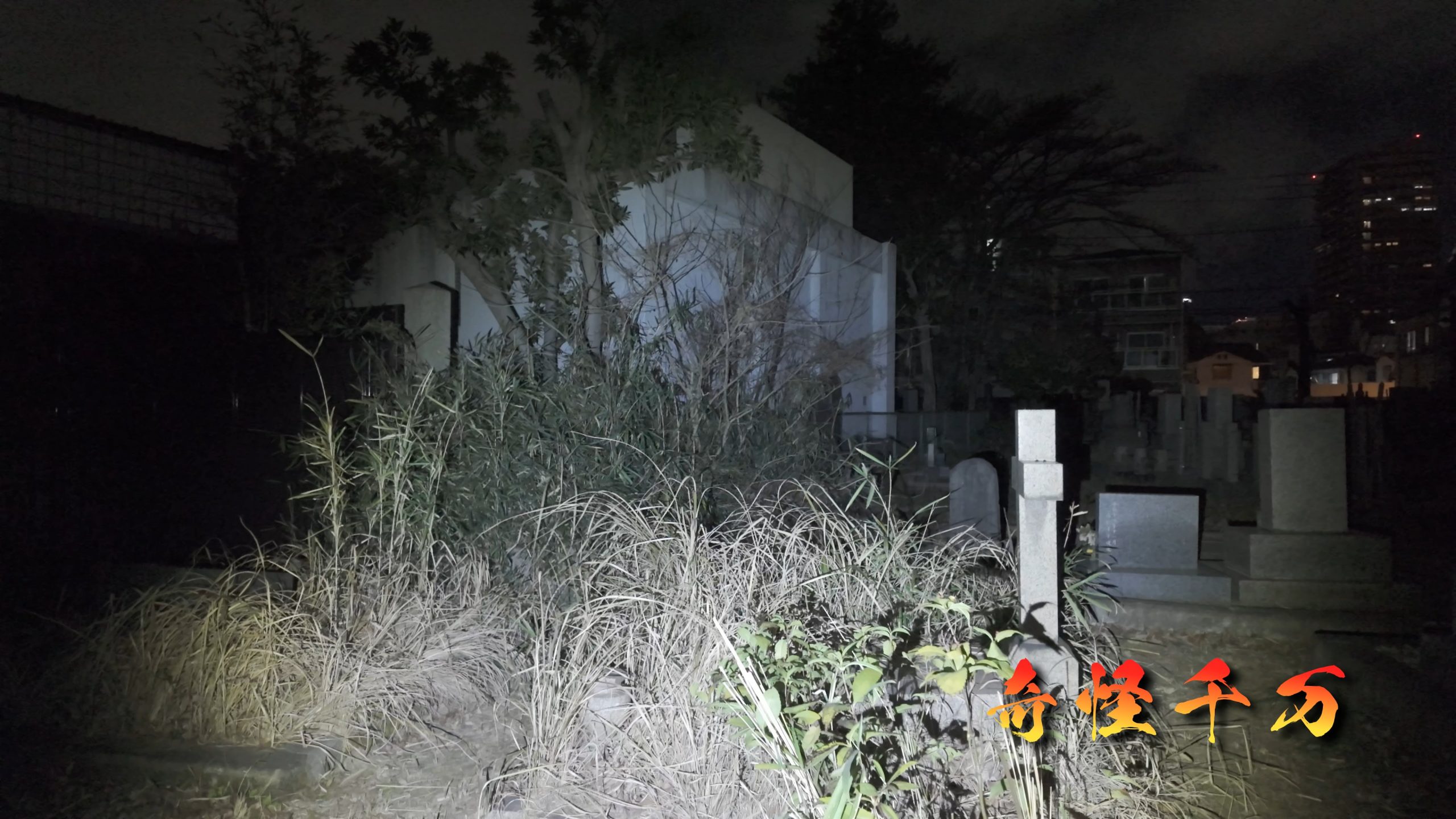 雑司が谷霊園 現地写真 414