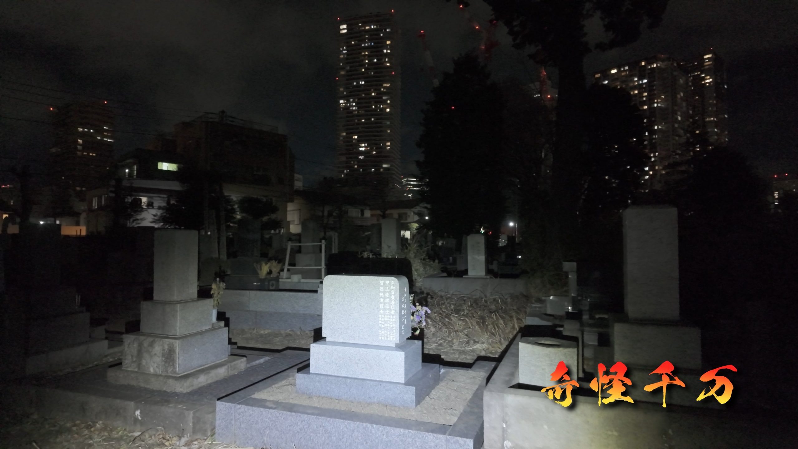 雑司が谷霊園 現地写真 415