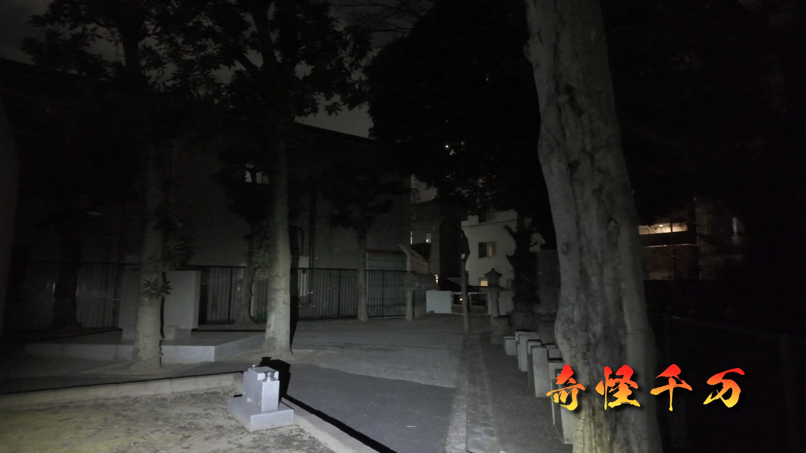 雑司が谷霊園 現地写真 416