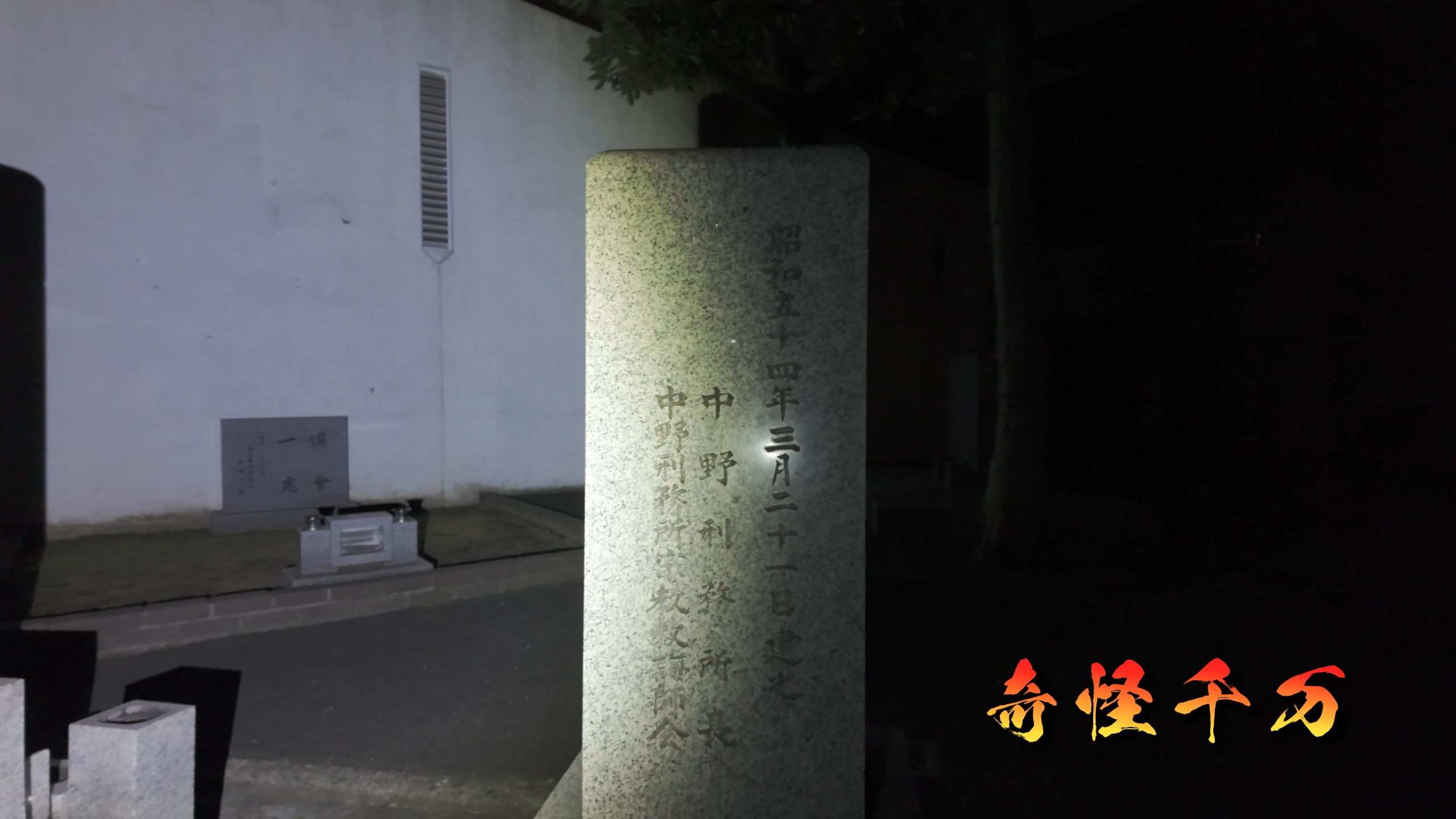 雑司が谷霊園 現地写真 418