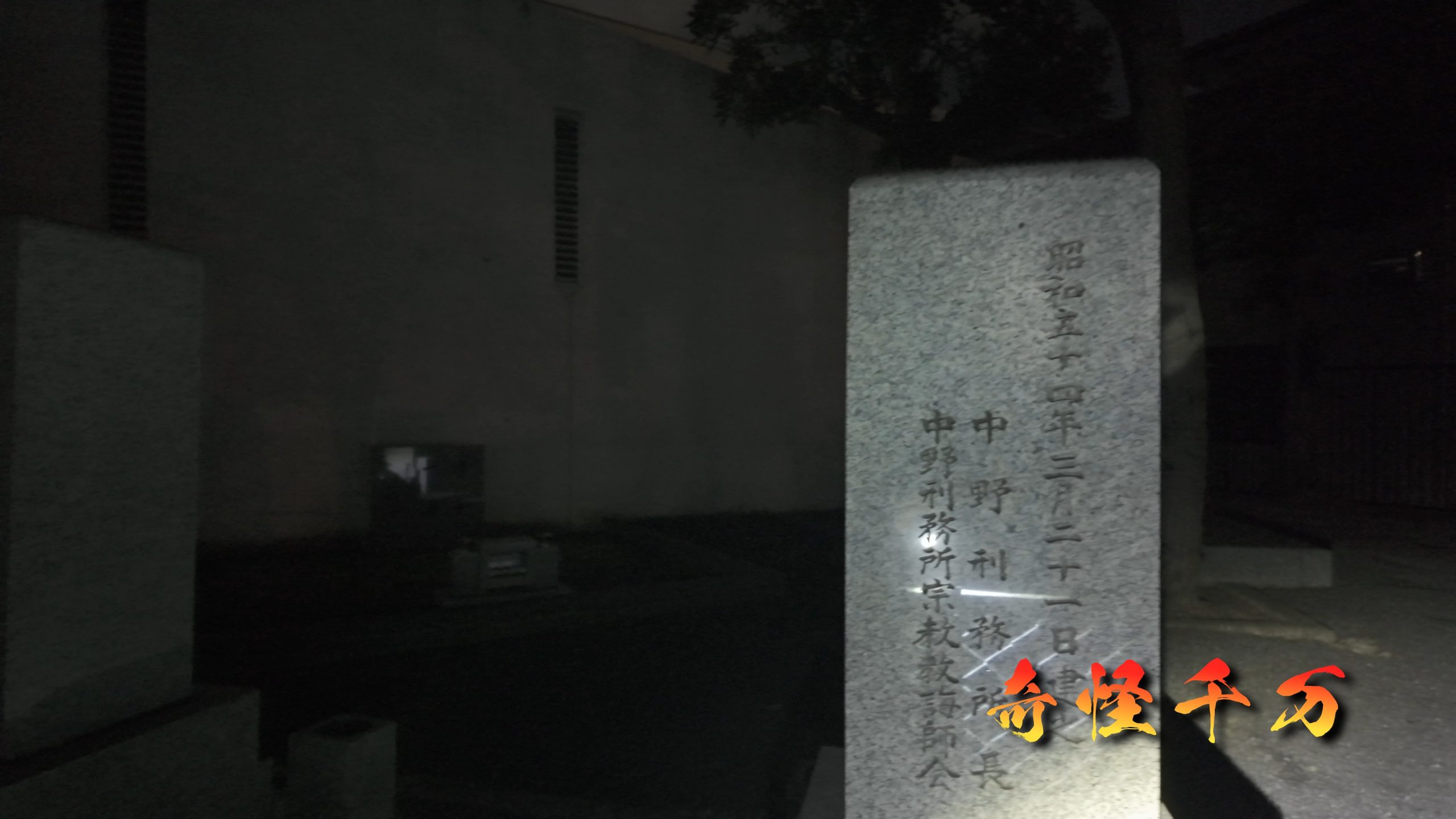 雑司が谷霊園 現地写真 419