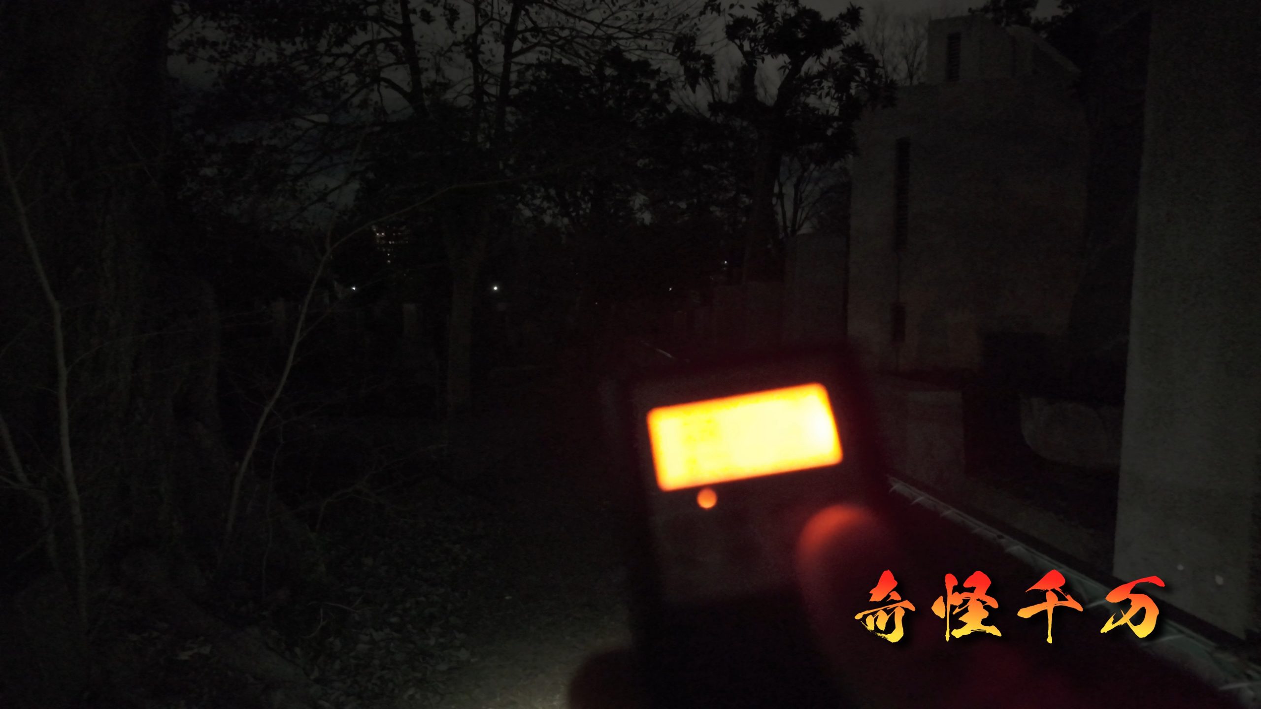 雑司が谷霊園 現地写真 420