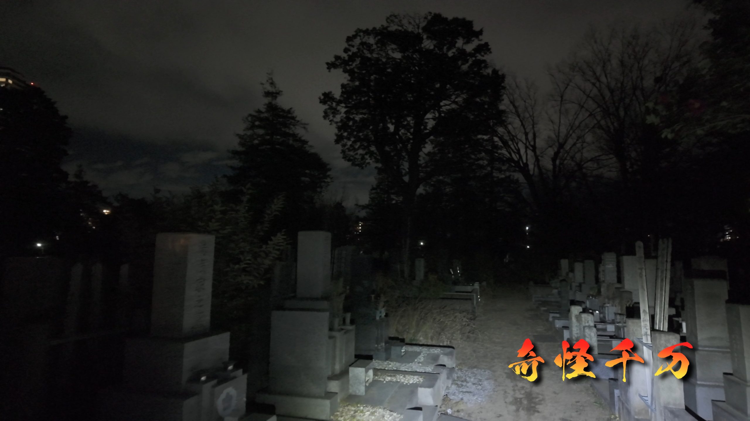 雑司が谷霊園 現地写真 421