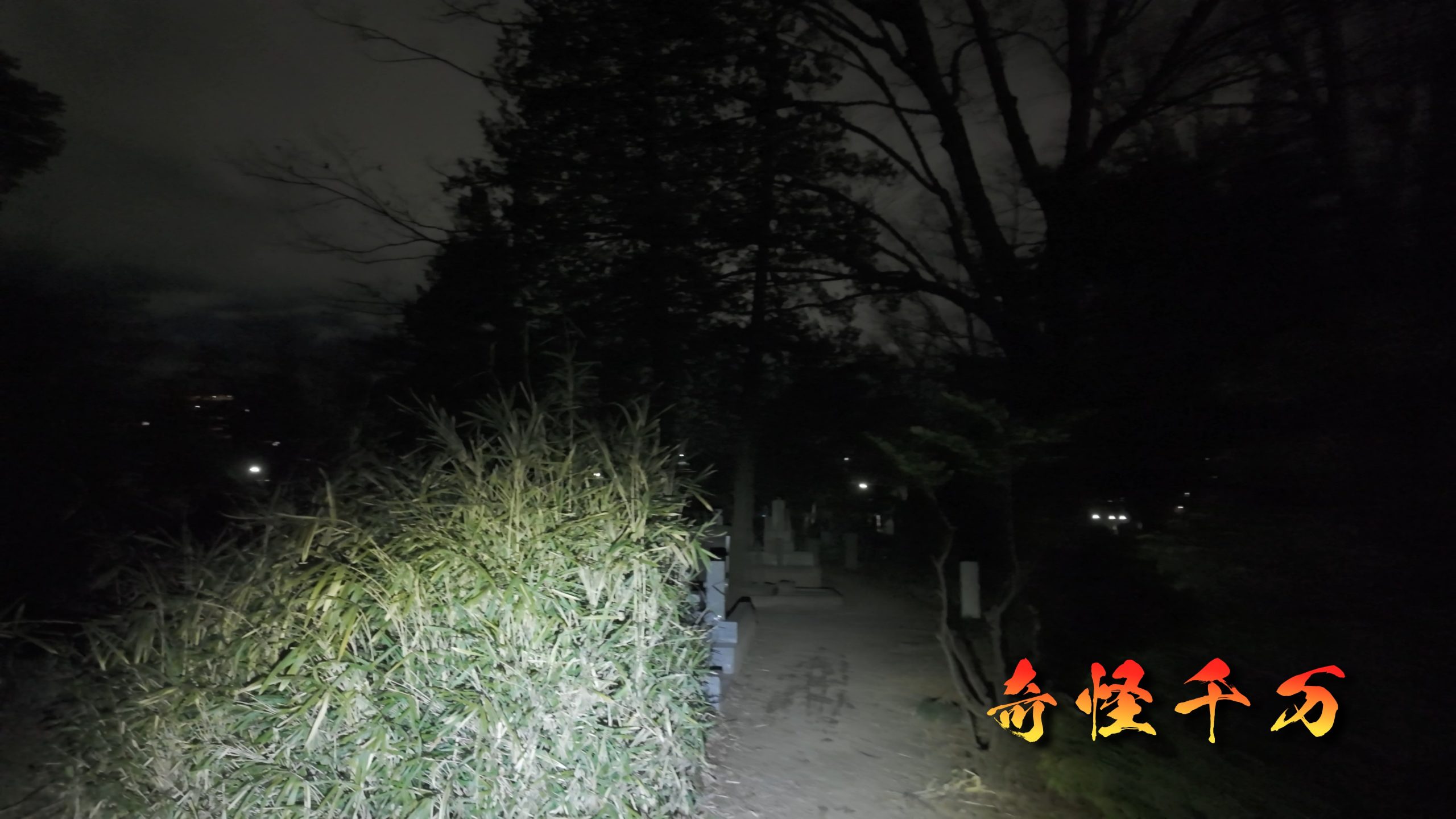 雑司が谷霊園 現地写真 422