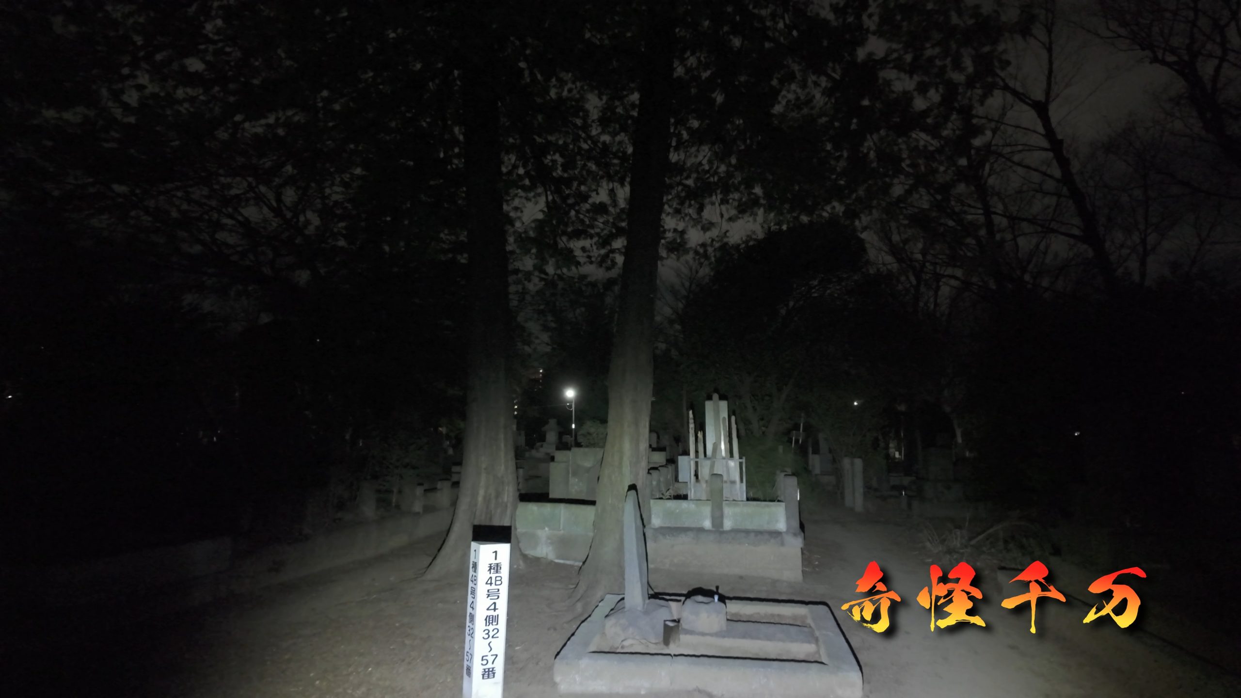 雑司が谷霊園 現地写真 423