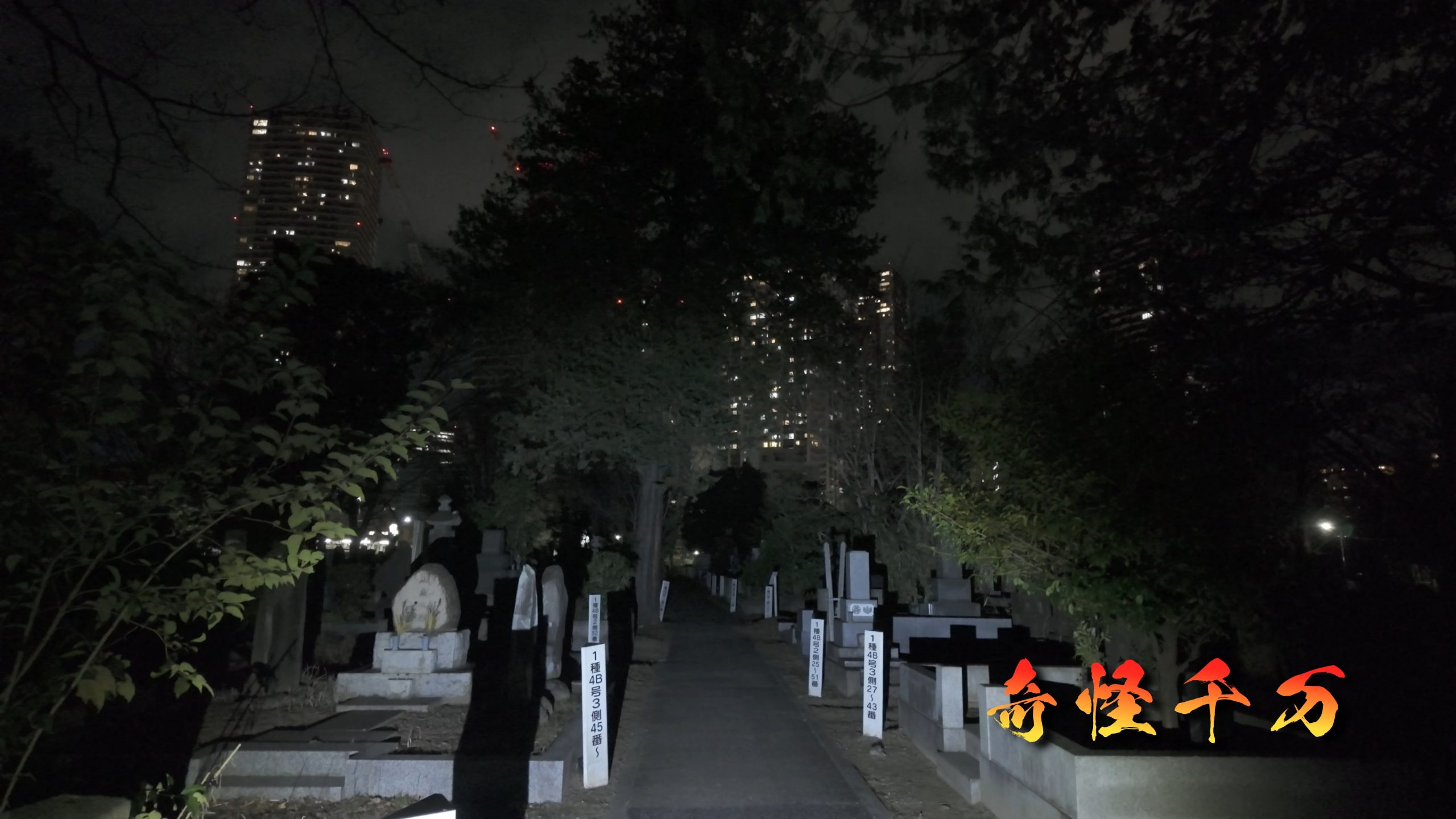 雑司が谷霊園 現地写真 424