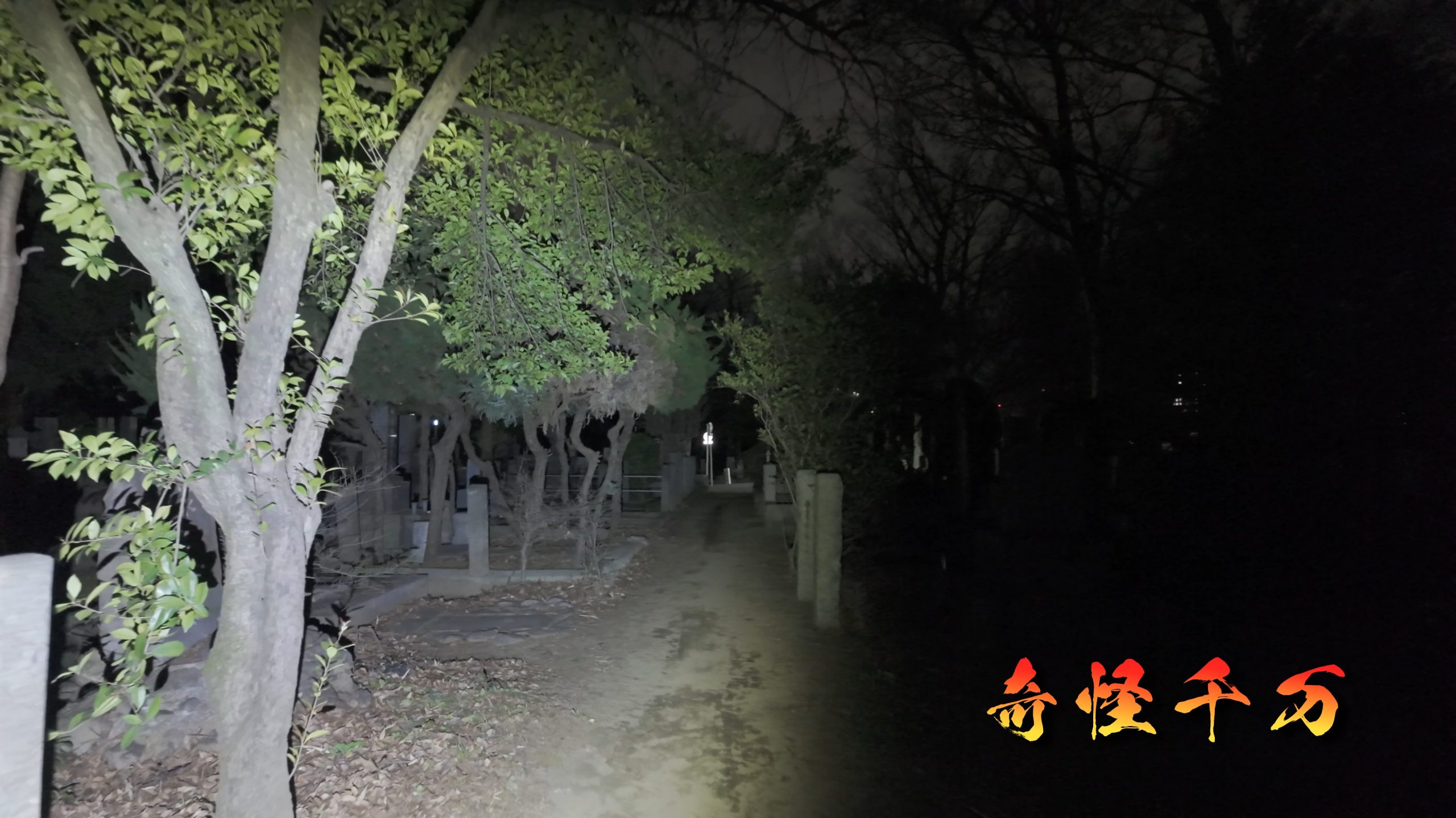 雑司が谷霊園 現地写真 425