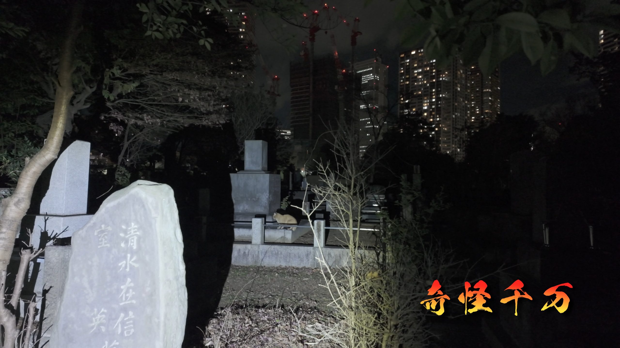 雑司が谷霊園 現地写真 426