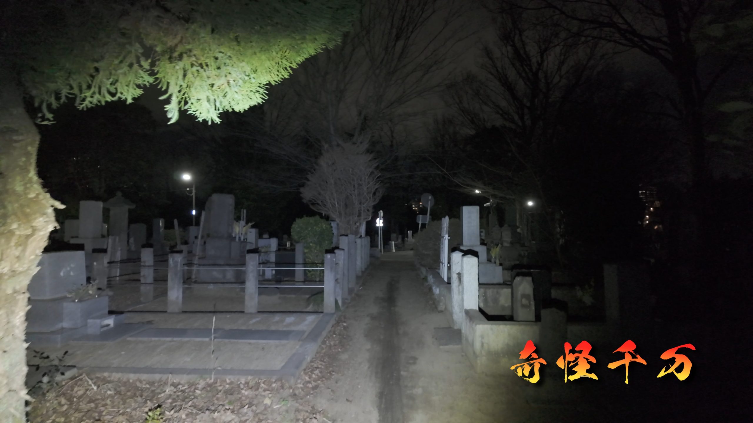 雑司が谷霊園 現地写真 427