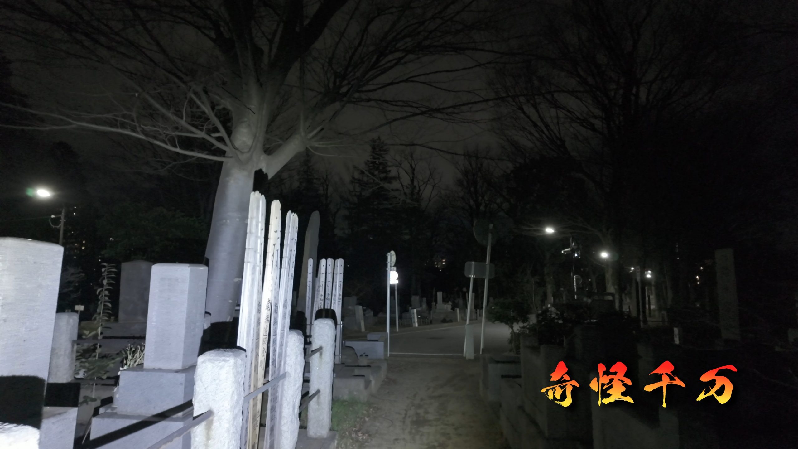 雑司が谷霊園 現地写真 428