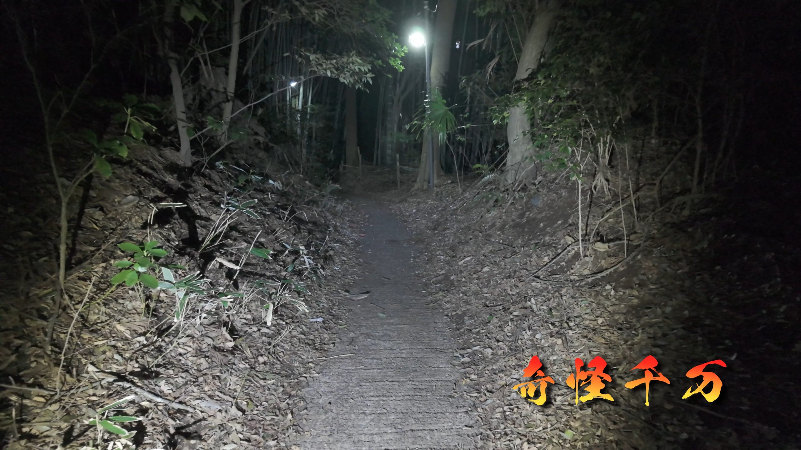 思井神隠し神社 現地写真 429