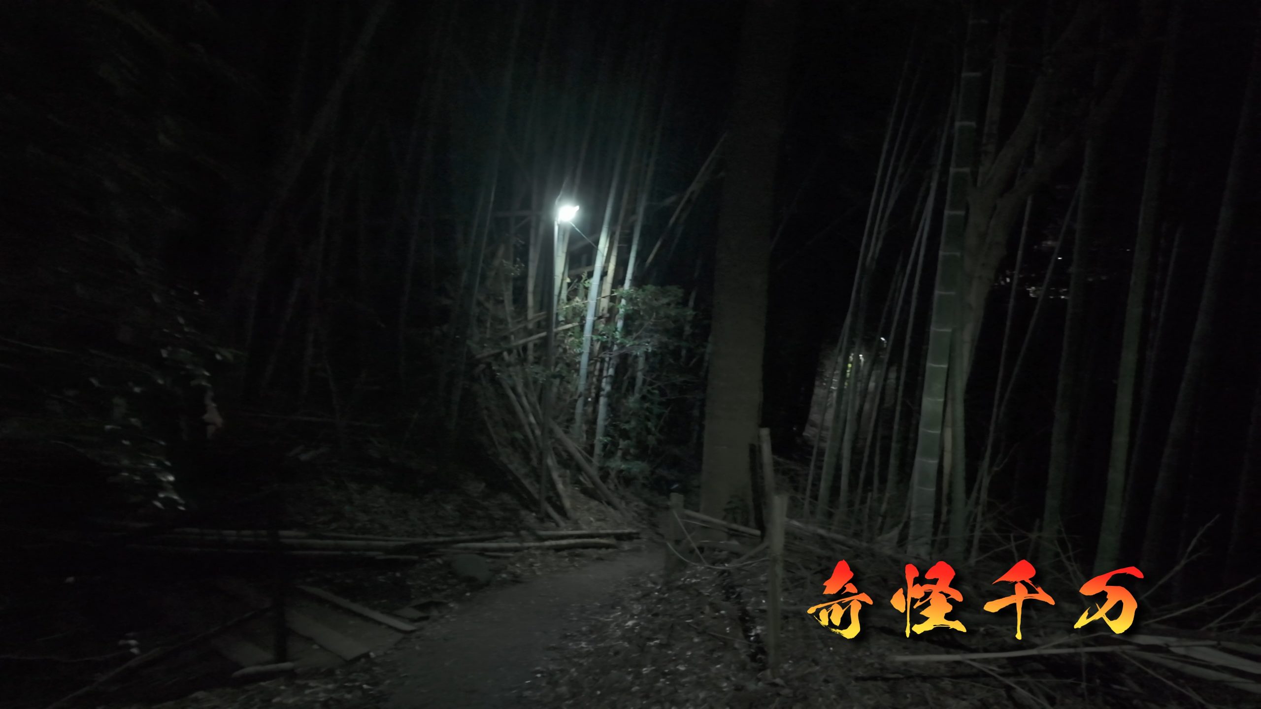 思井神隠し神社 現地写真 430
