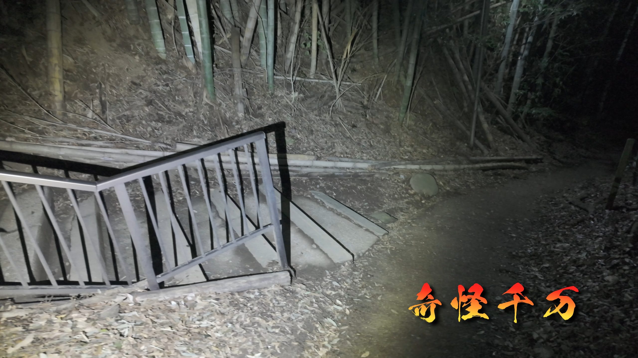 思井神隠し神社 現地写真 431