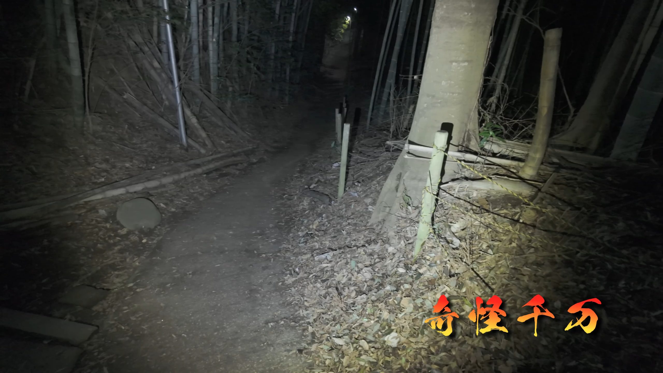 思井神隠し神社 現地写真 432