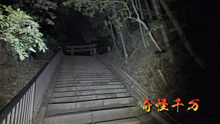 思井神隠し神社 現地写真 433