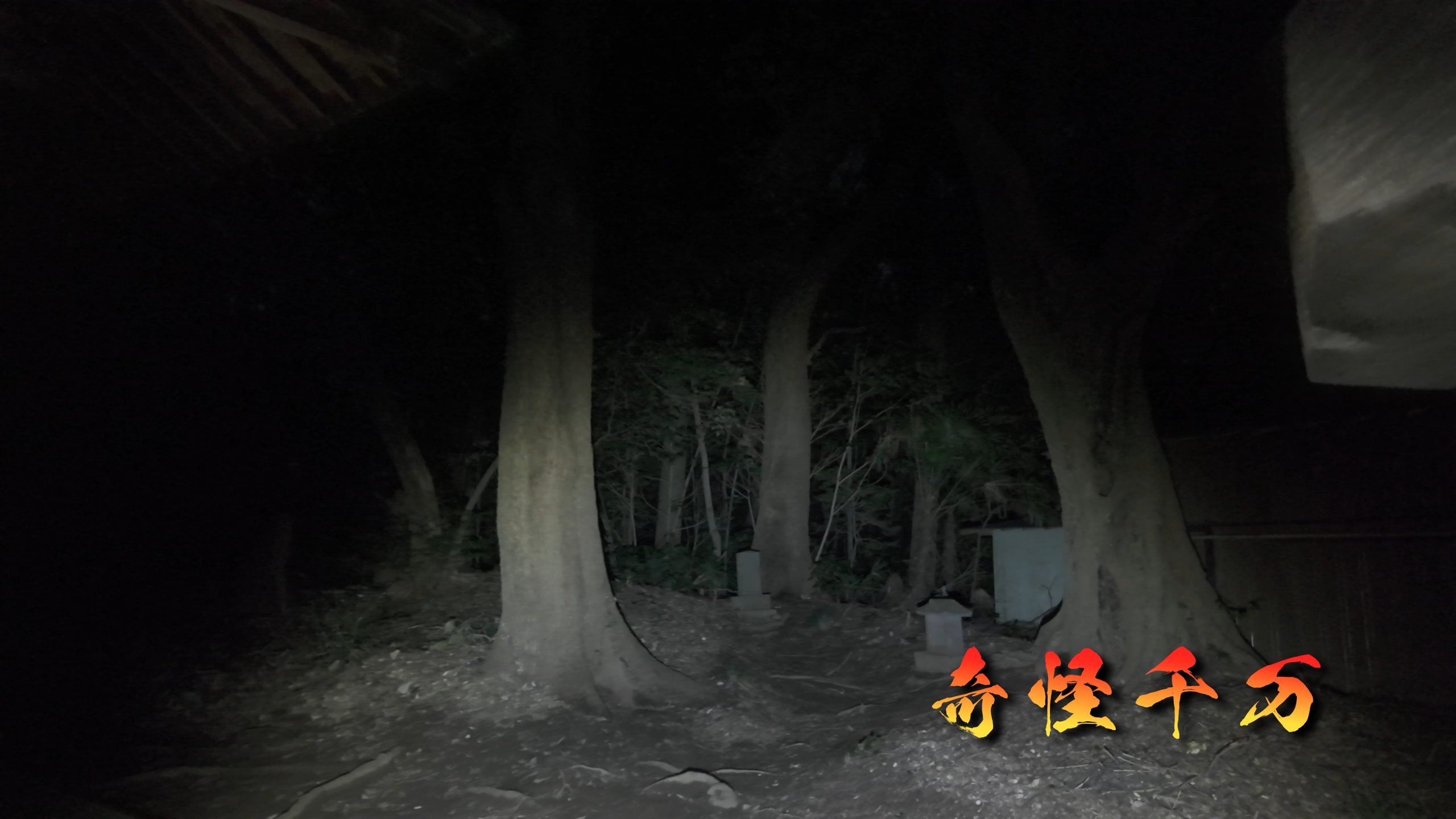 思井神隠し神社 現地写真 437