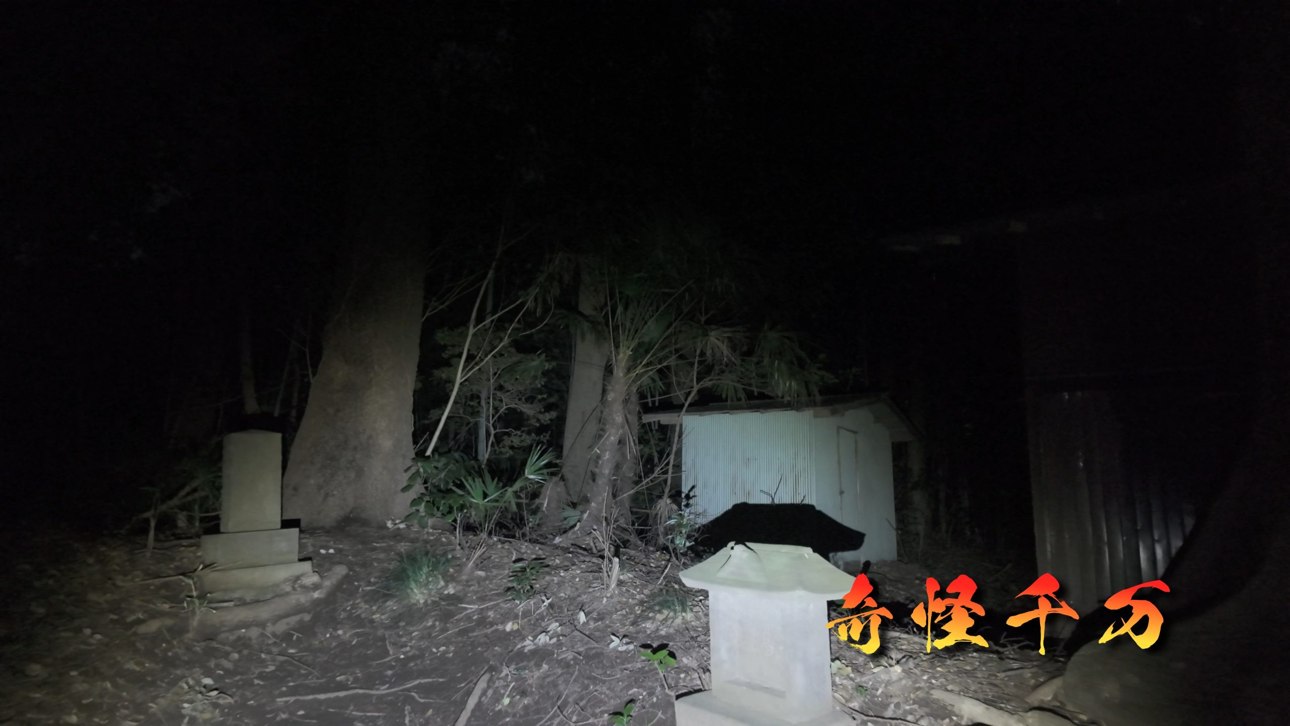 思井神隠し神社 現地写真 438
