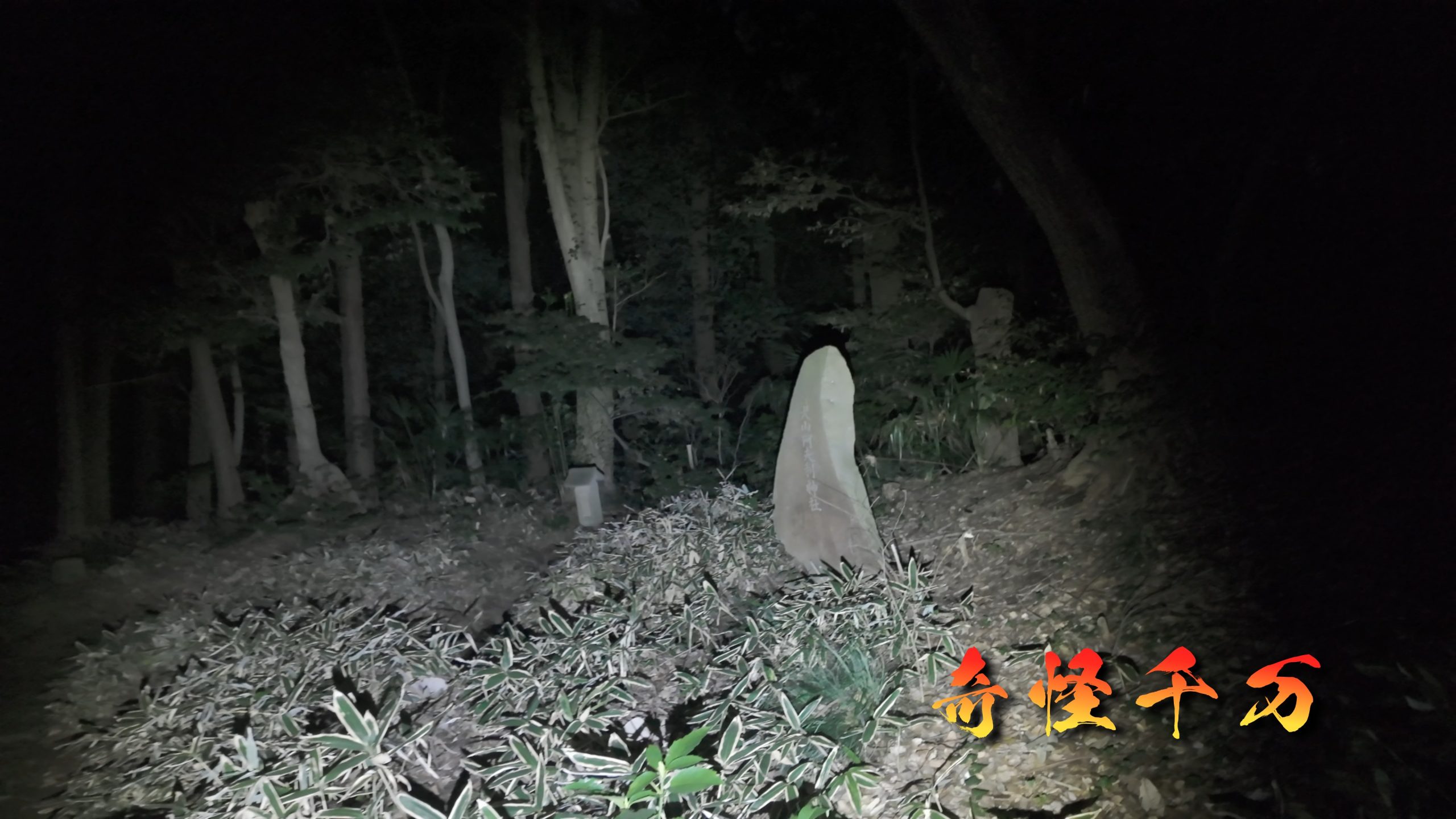 思井神隠し神社 現地写真 439