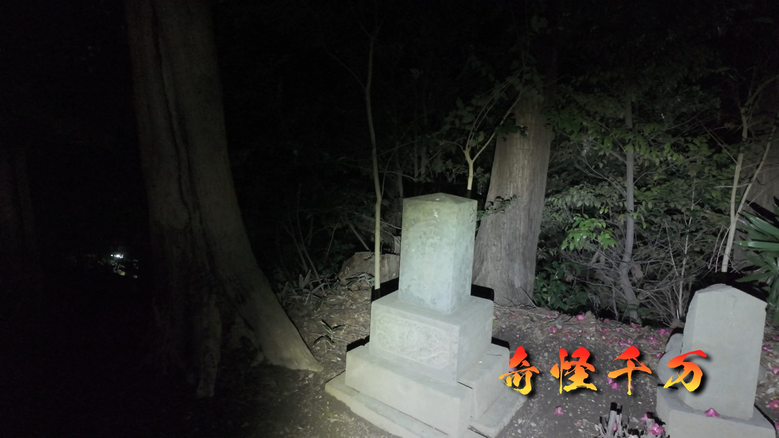 思井神隠し神社 現地写真 441