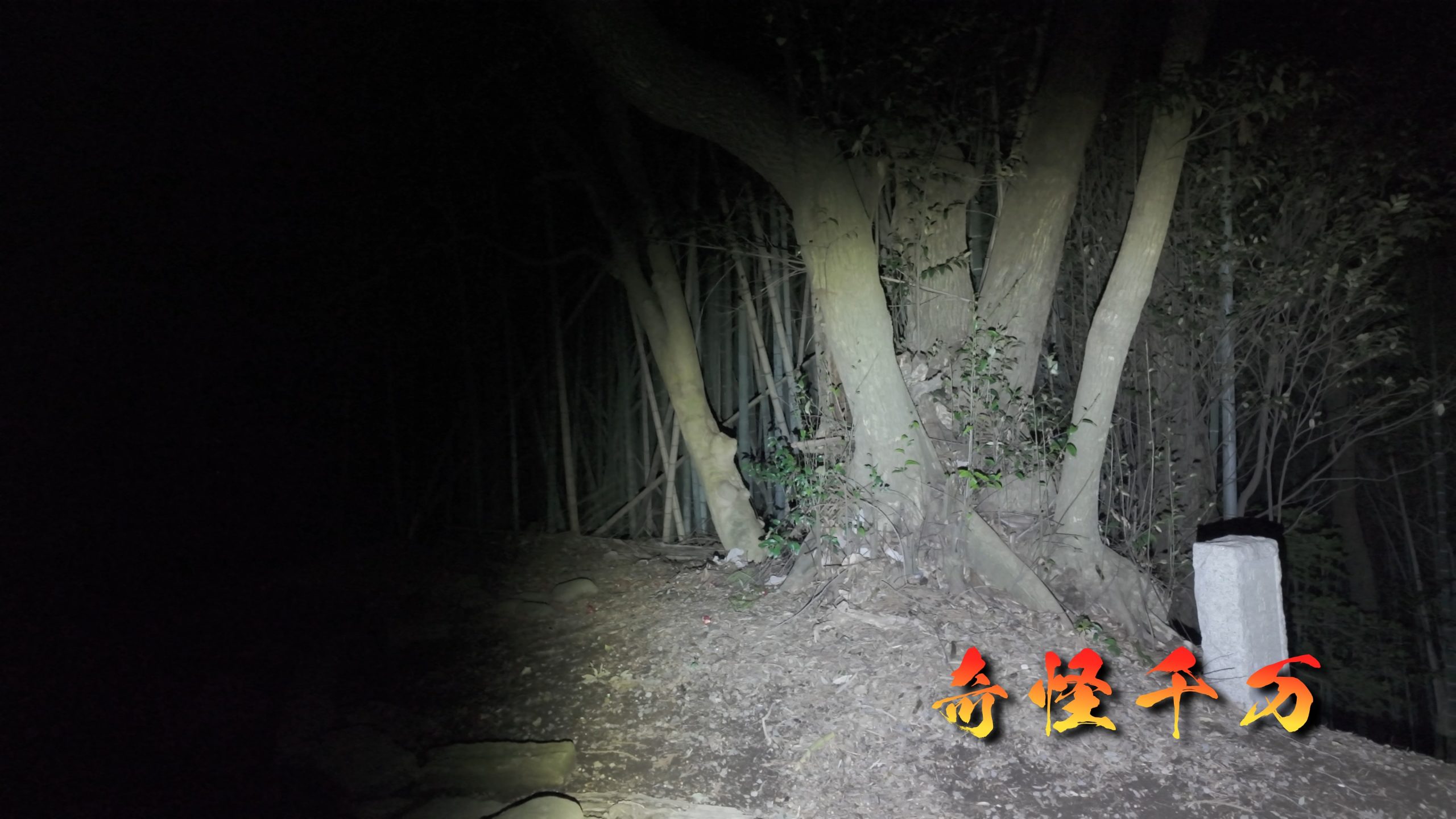 思井神隠し神社 現地写真 442
