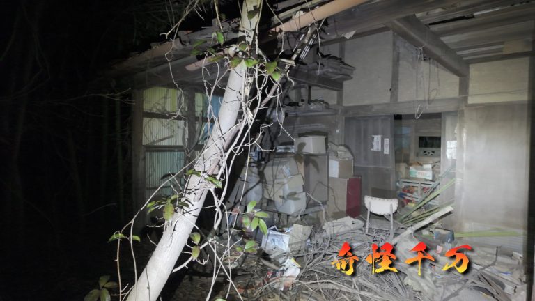 沼南の幽霊屋敷 現地写真 SnapShot(457)