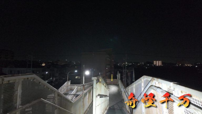 馬橋心中人道橋 現地写真 SnapShot(471)